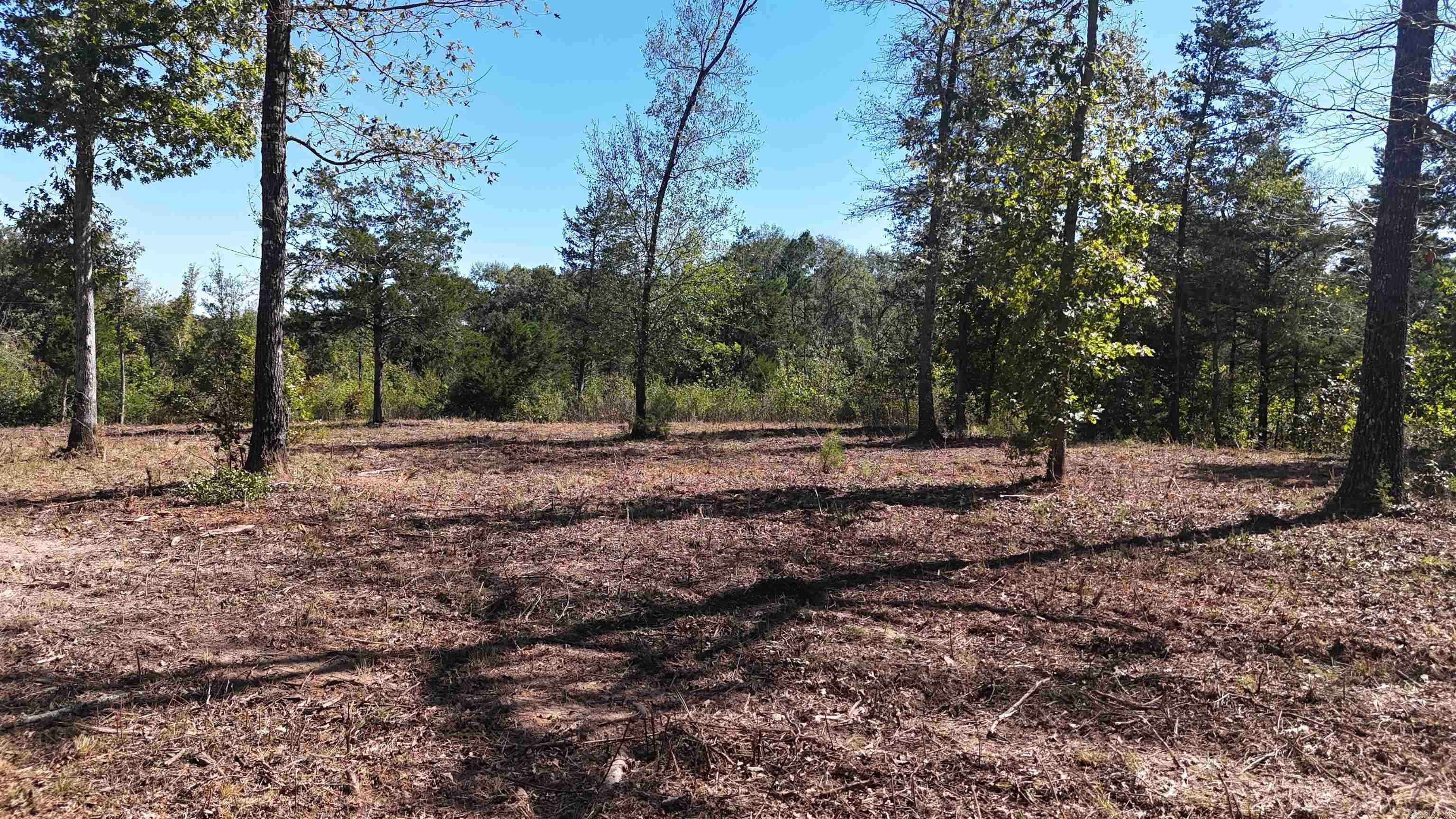 Tbd Polk Road 676 Property Photo 5