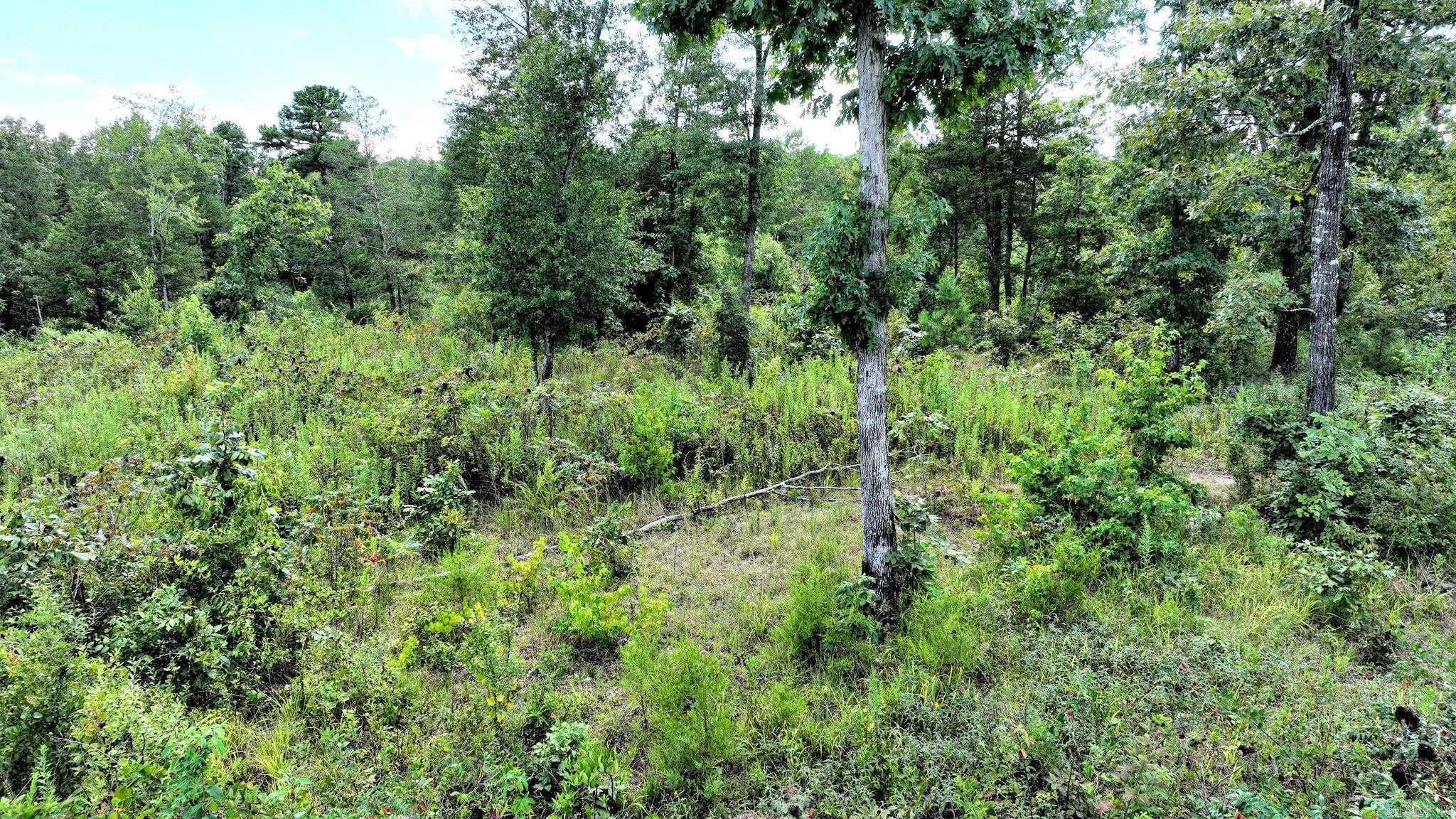 Tbd Polk Road 676 Property Photo 6