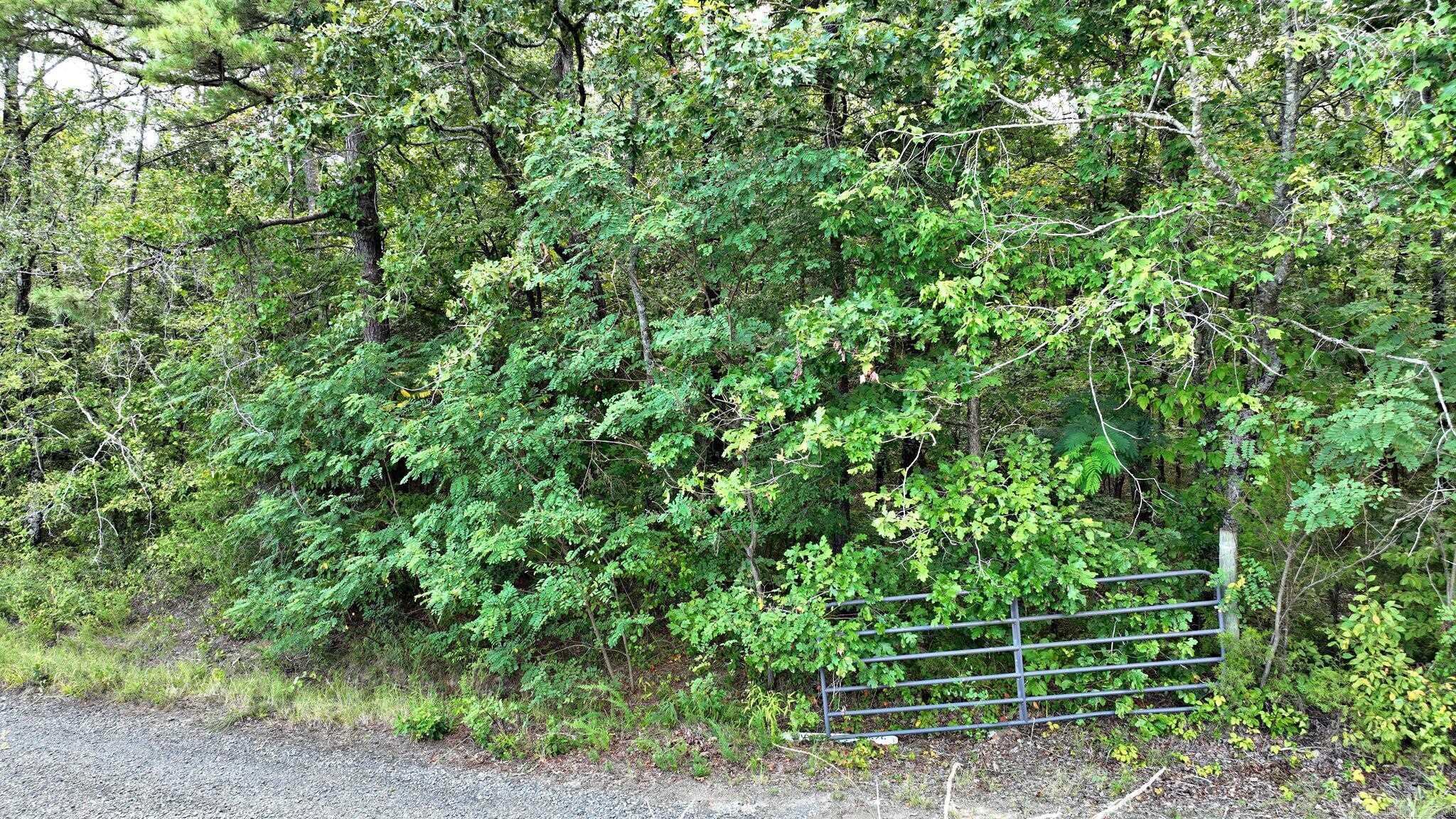 Tbd Polk Road 676 Property Photo 7