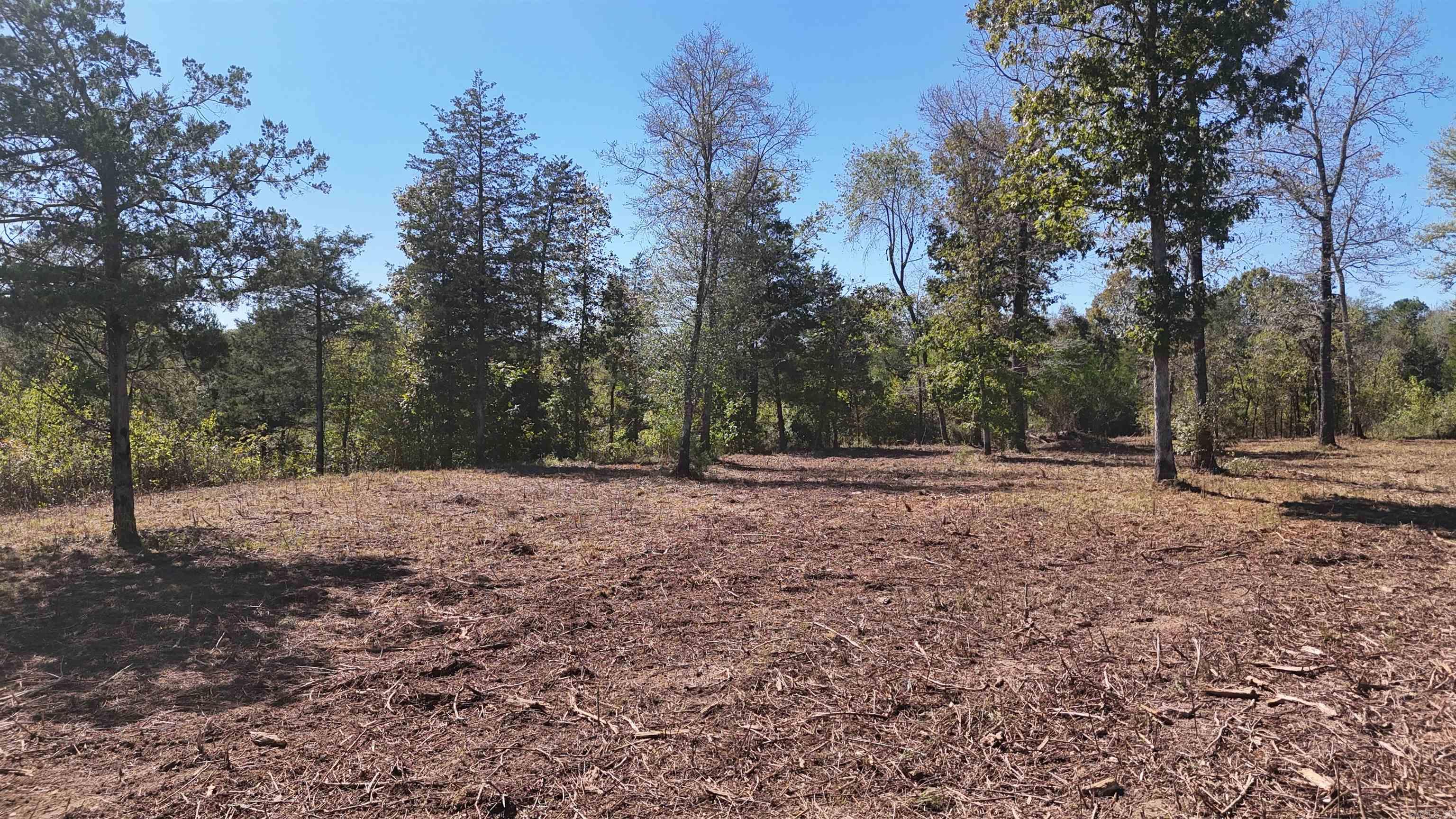 Tbd Polk Road 676 Property Photo 7