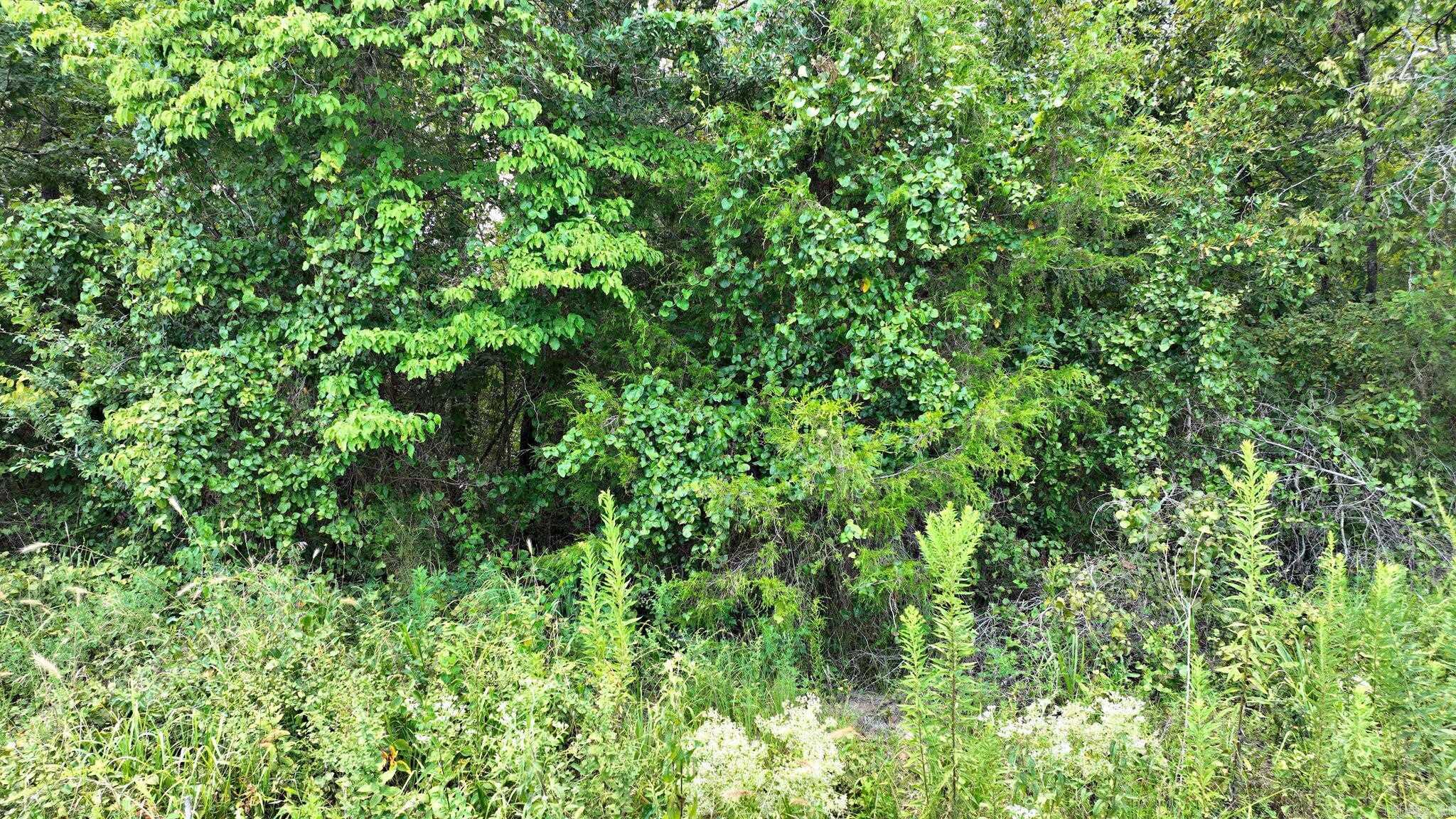 Tbd Polk Road 676 Property Photo 8