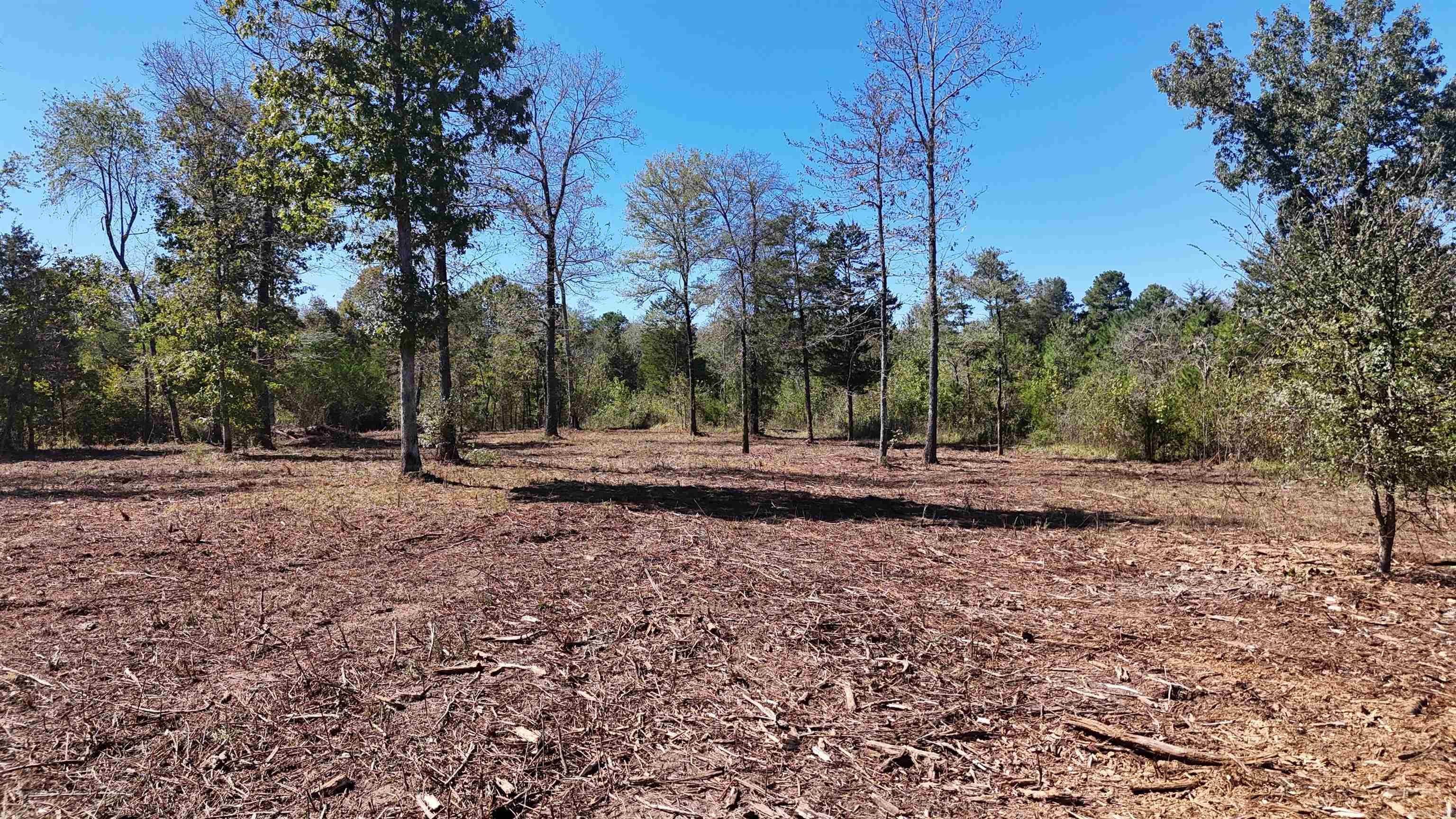 Tbd Polk Road 676 Property Photo 8