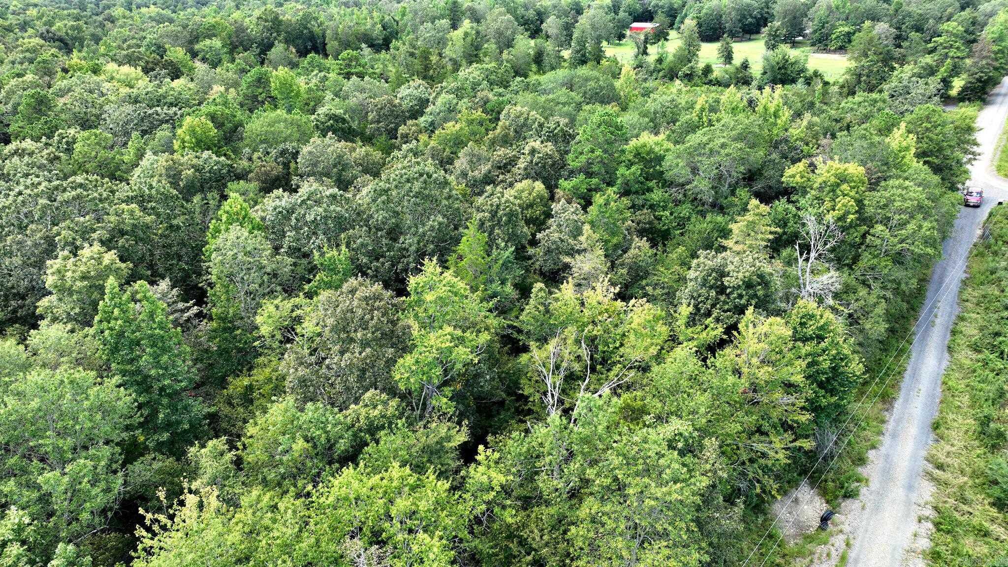 Tbd Polk Road 676 Property Photo 10