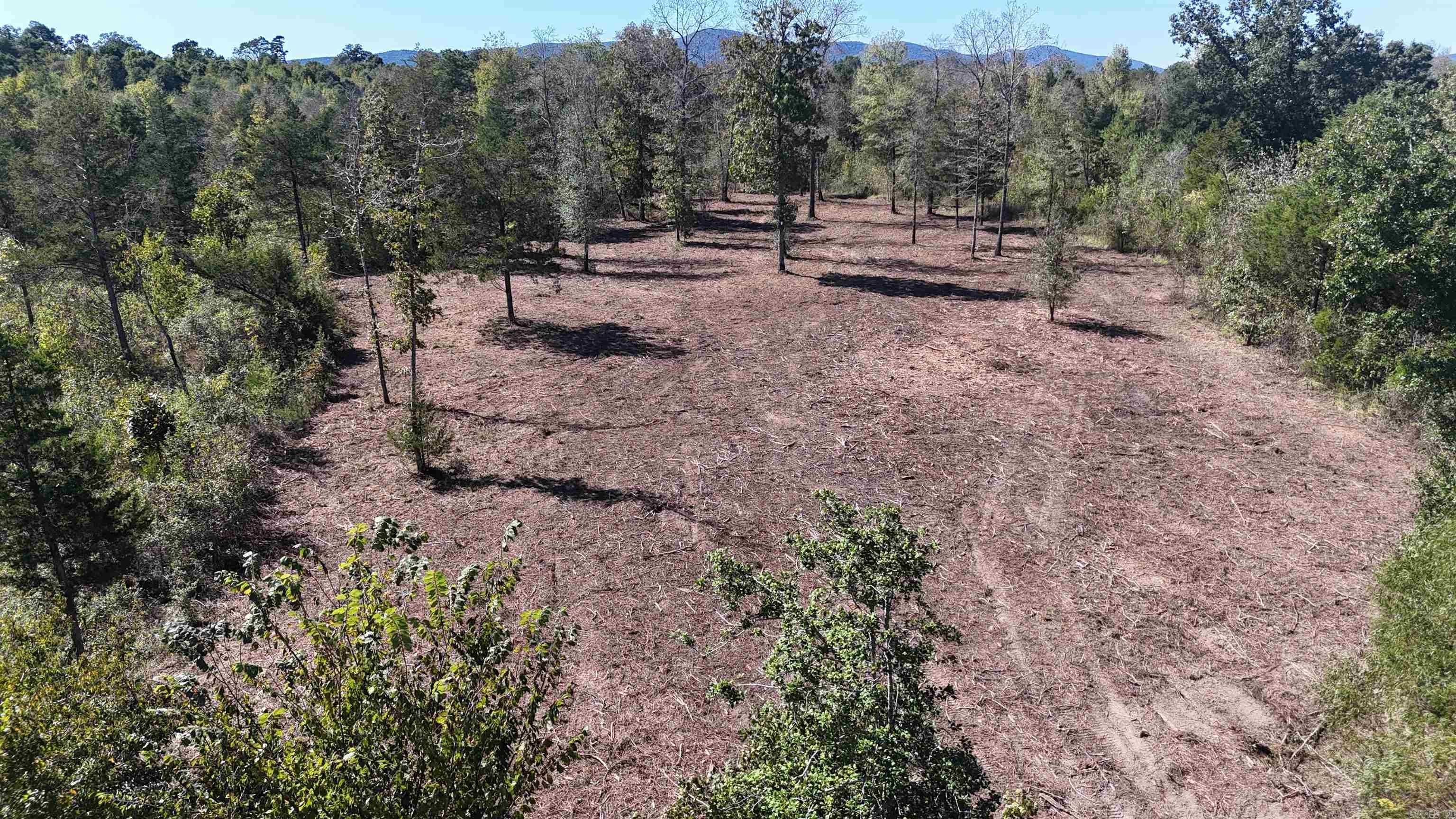 Tbd Polk Road 676 Property Photo 10