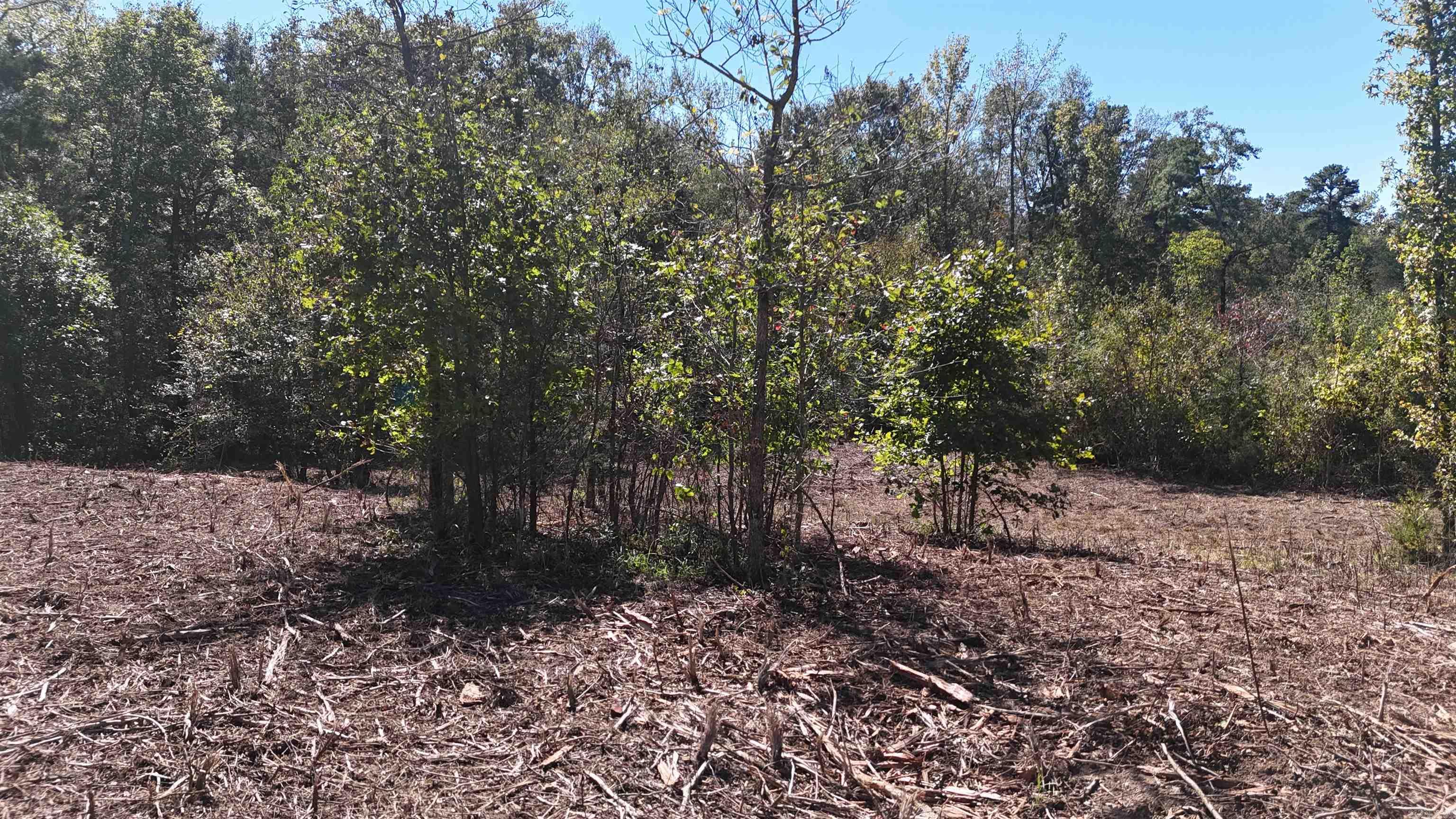 Tbd Polk Road 676 Property Photo 14