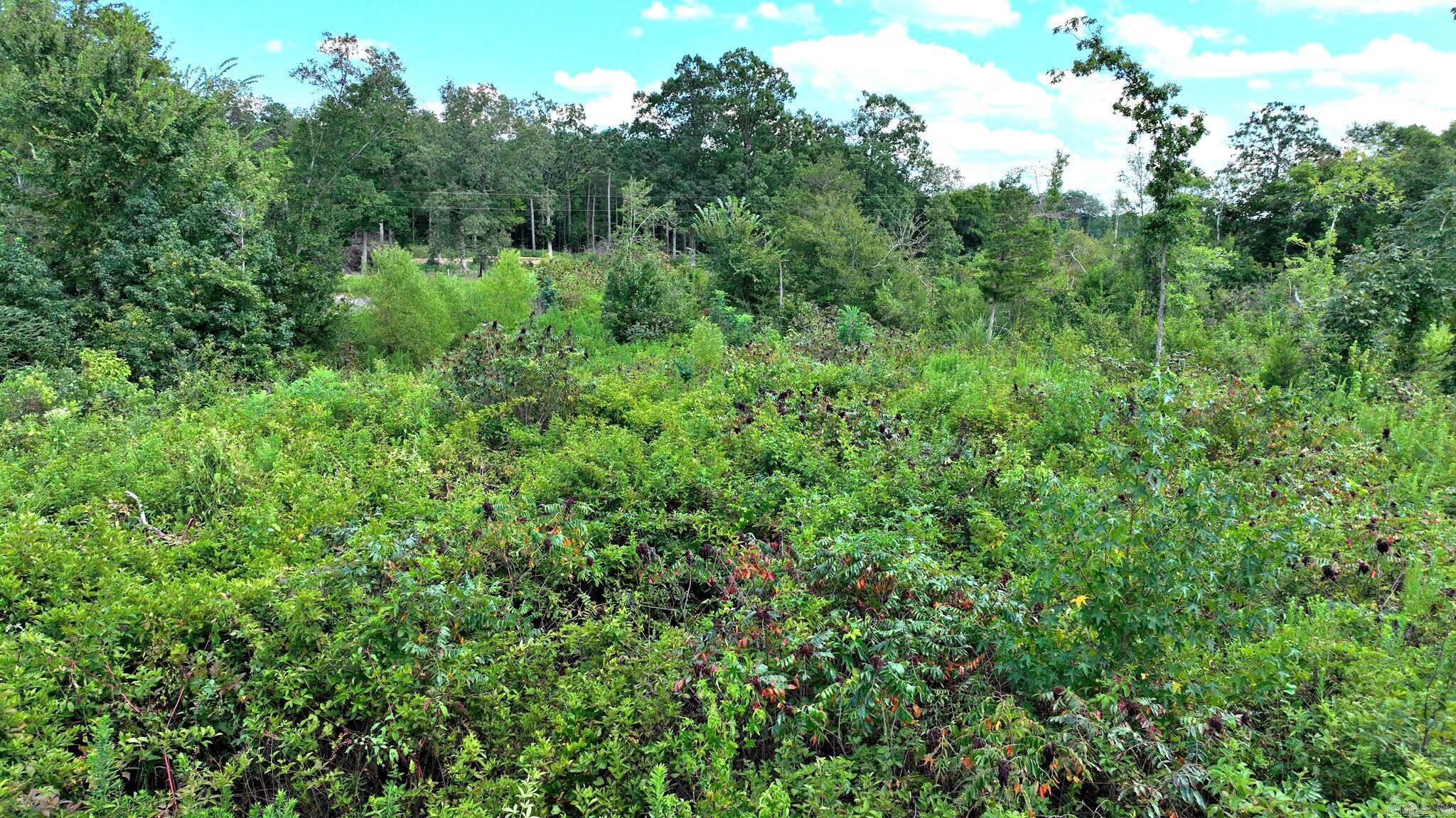 Tbd Polk Road 676 Property Photo 15