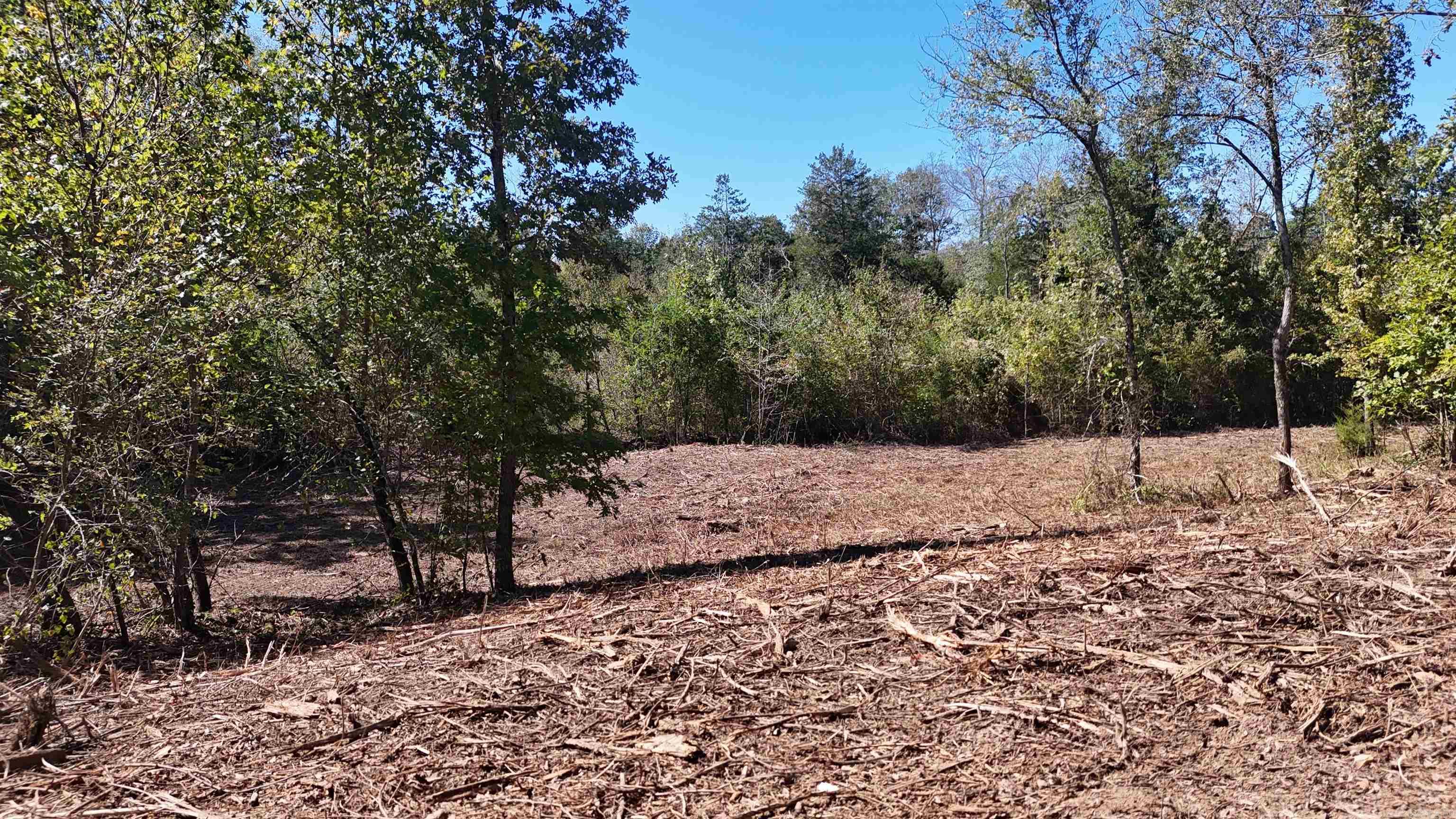 Tbd Polk Road 676 Property Photo 15