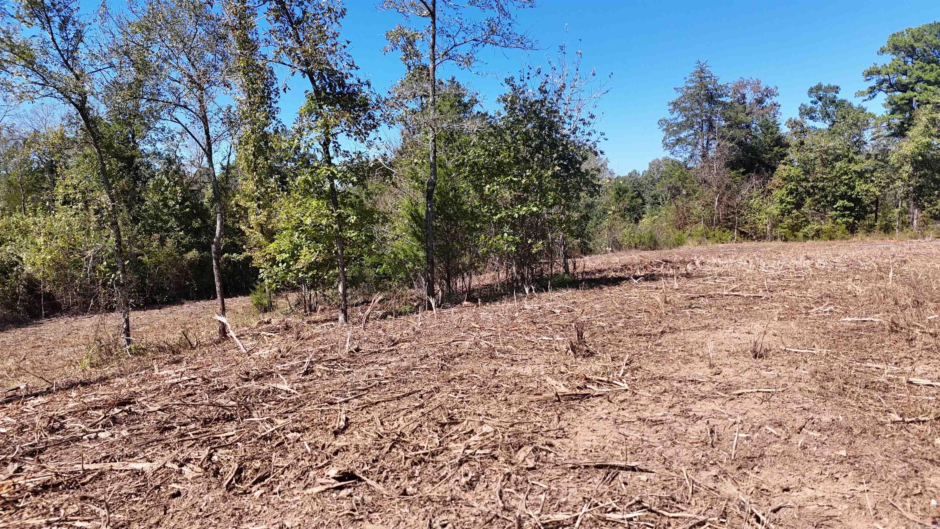 Tbd Polk Road 676 Property Photo 16