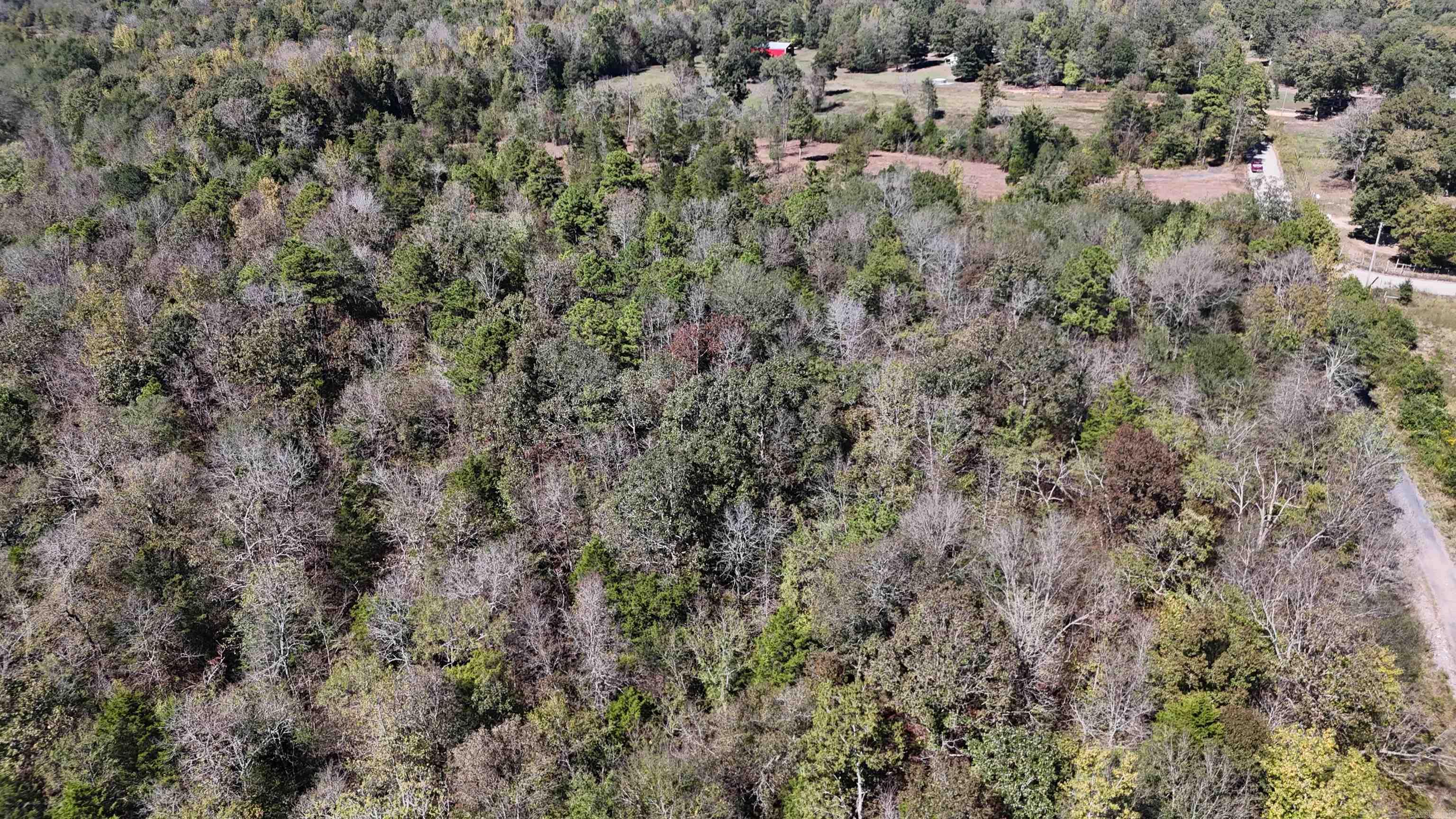Tbd Polk Road 676 Property Photo 21