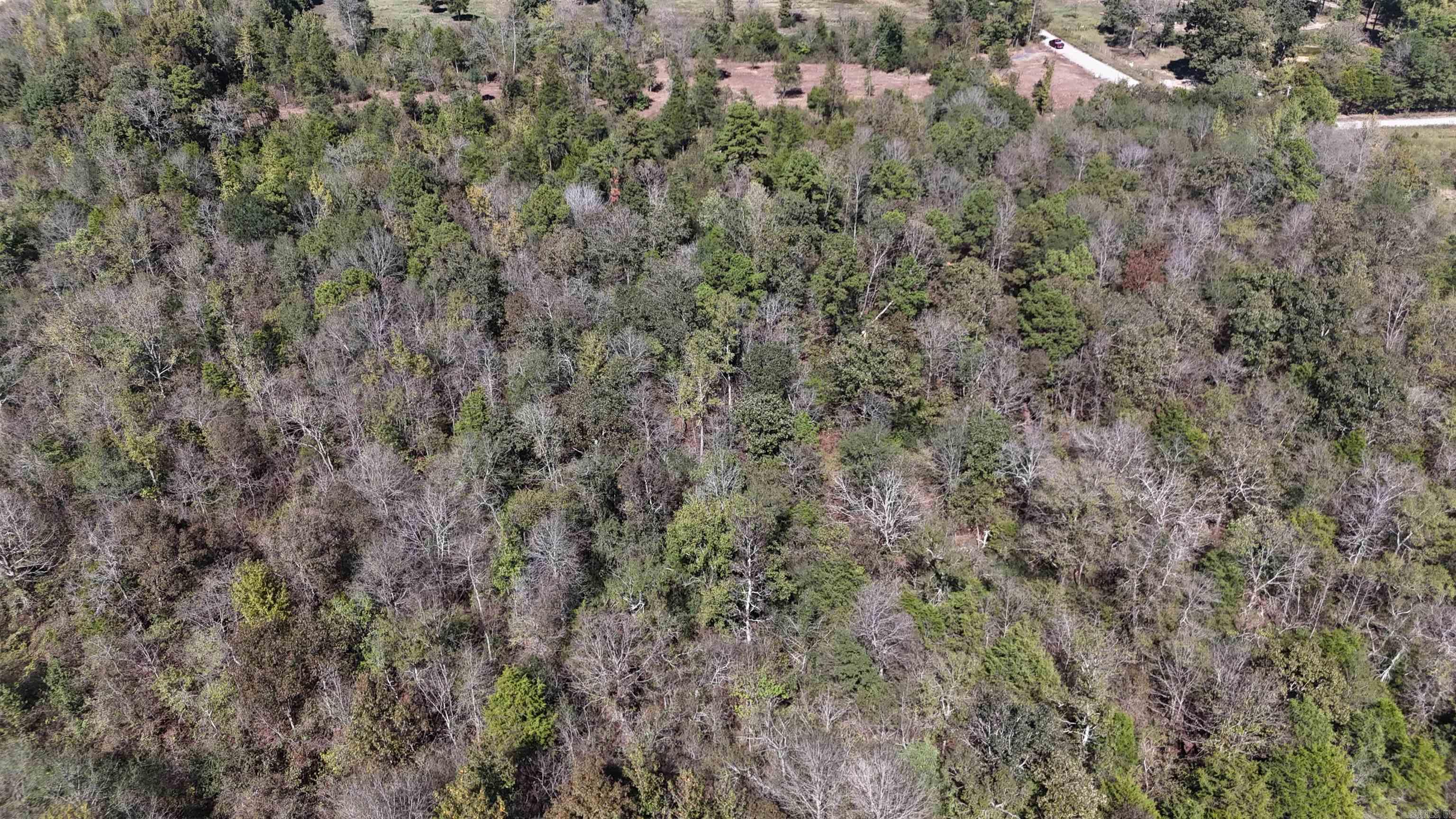 Tbd Polk Road 676 Property Photo 22