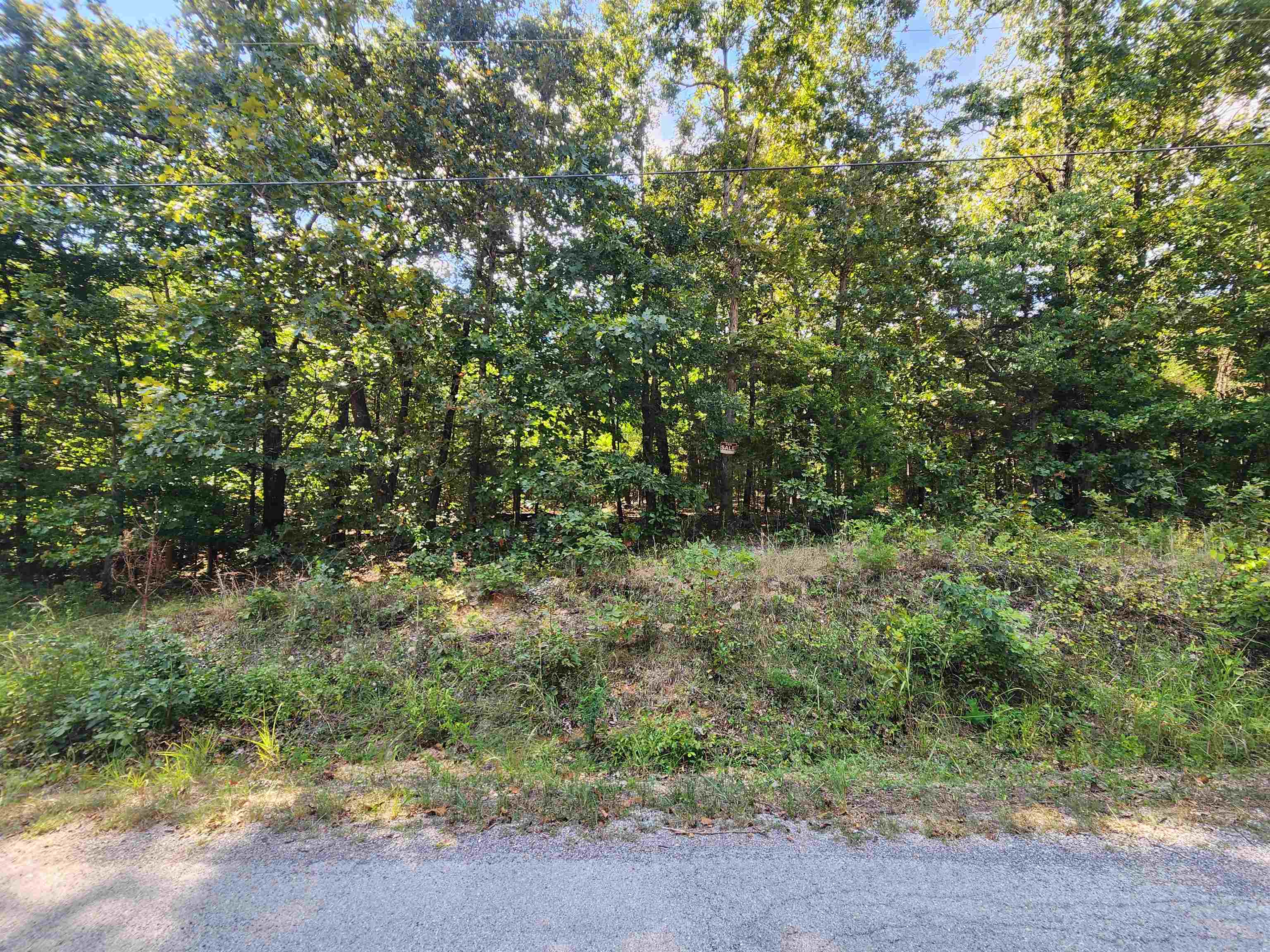 L-41, B-8 Winnebago Drive Property Photo 1