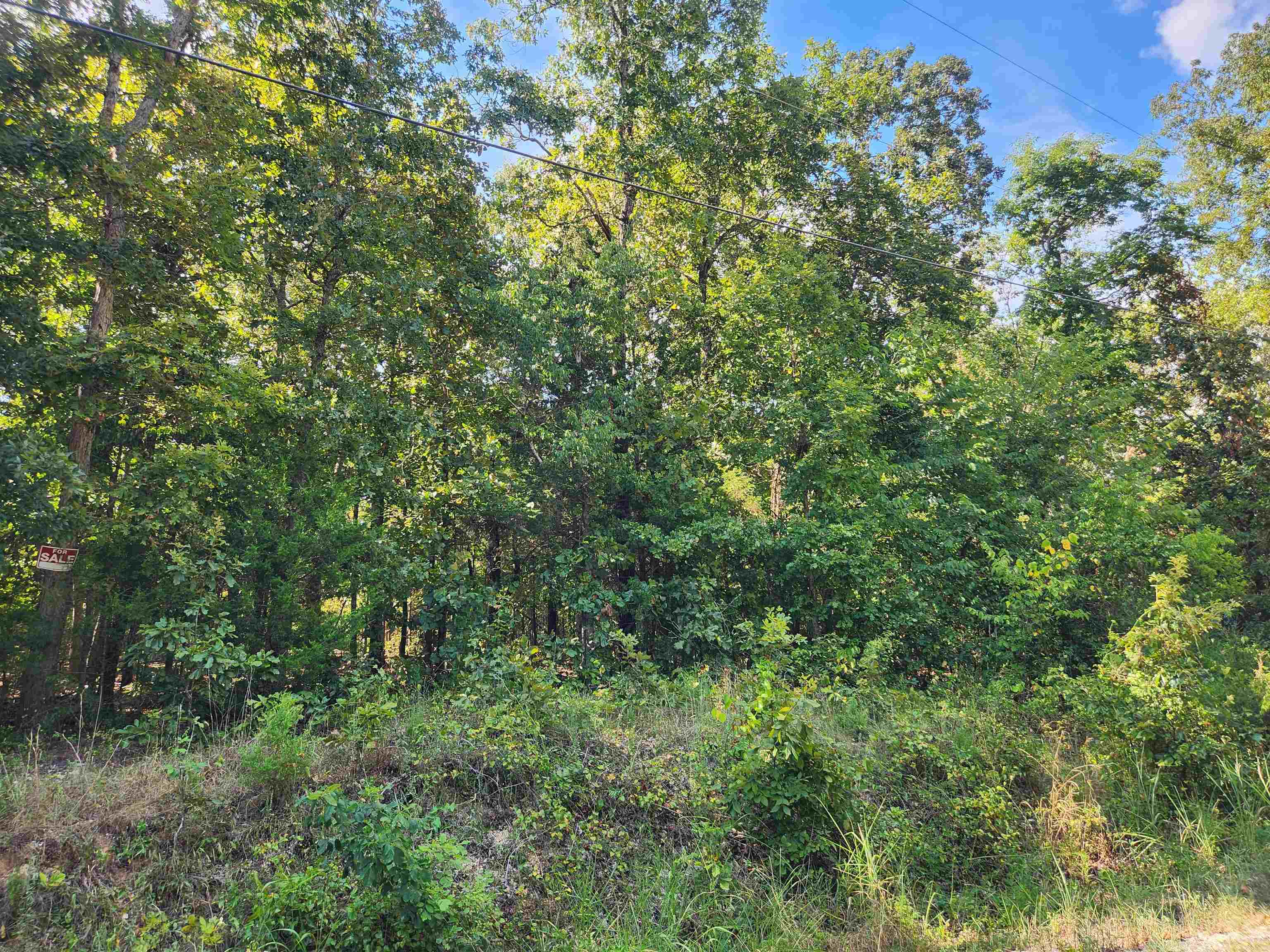 L-41, B-8 Winnebago Drive Property Photo 7