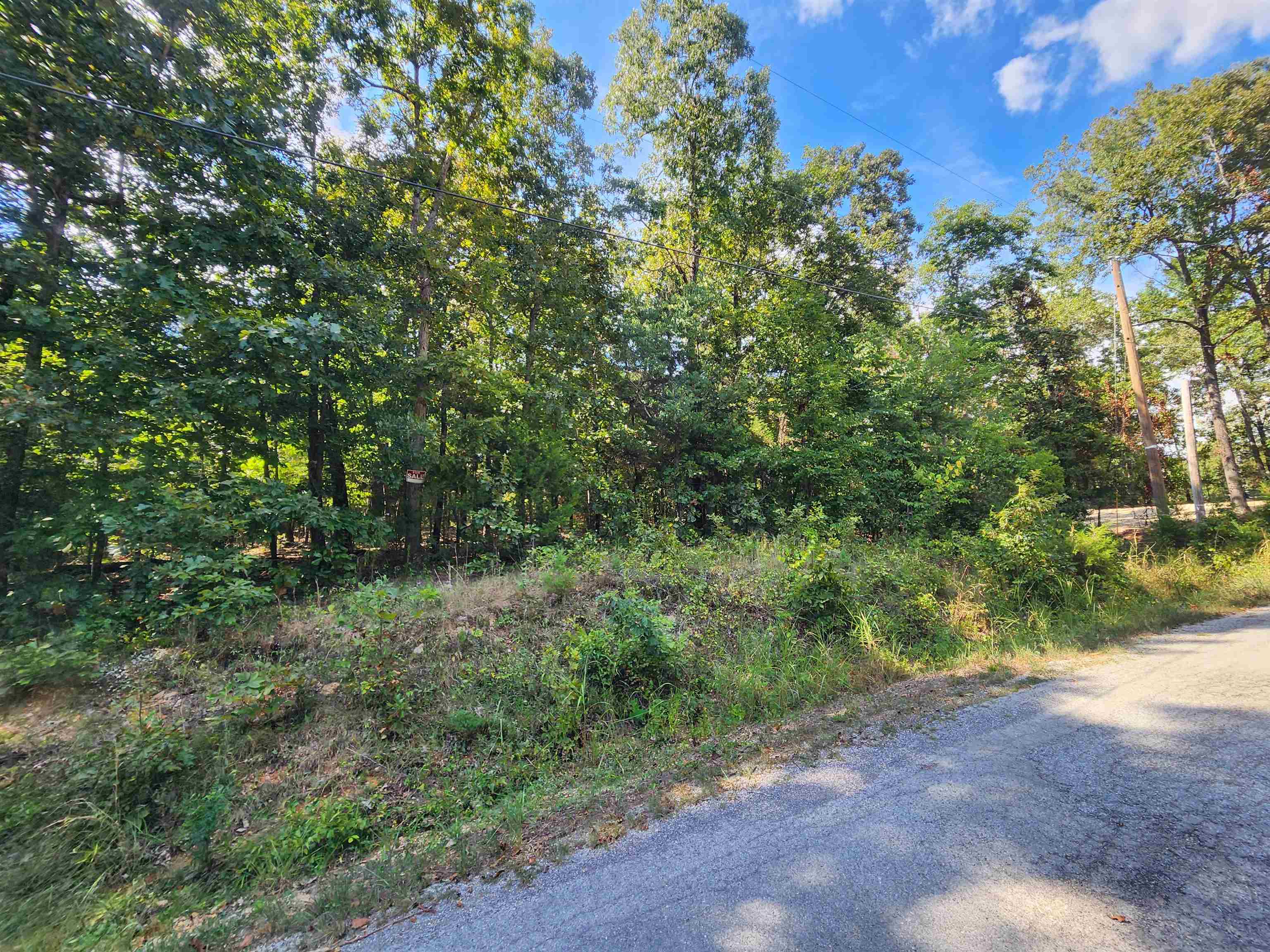 L-41, B-8 Winnebago Drive Property Photo 10