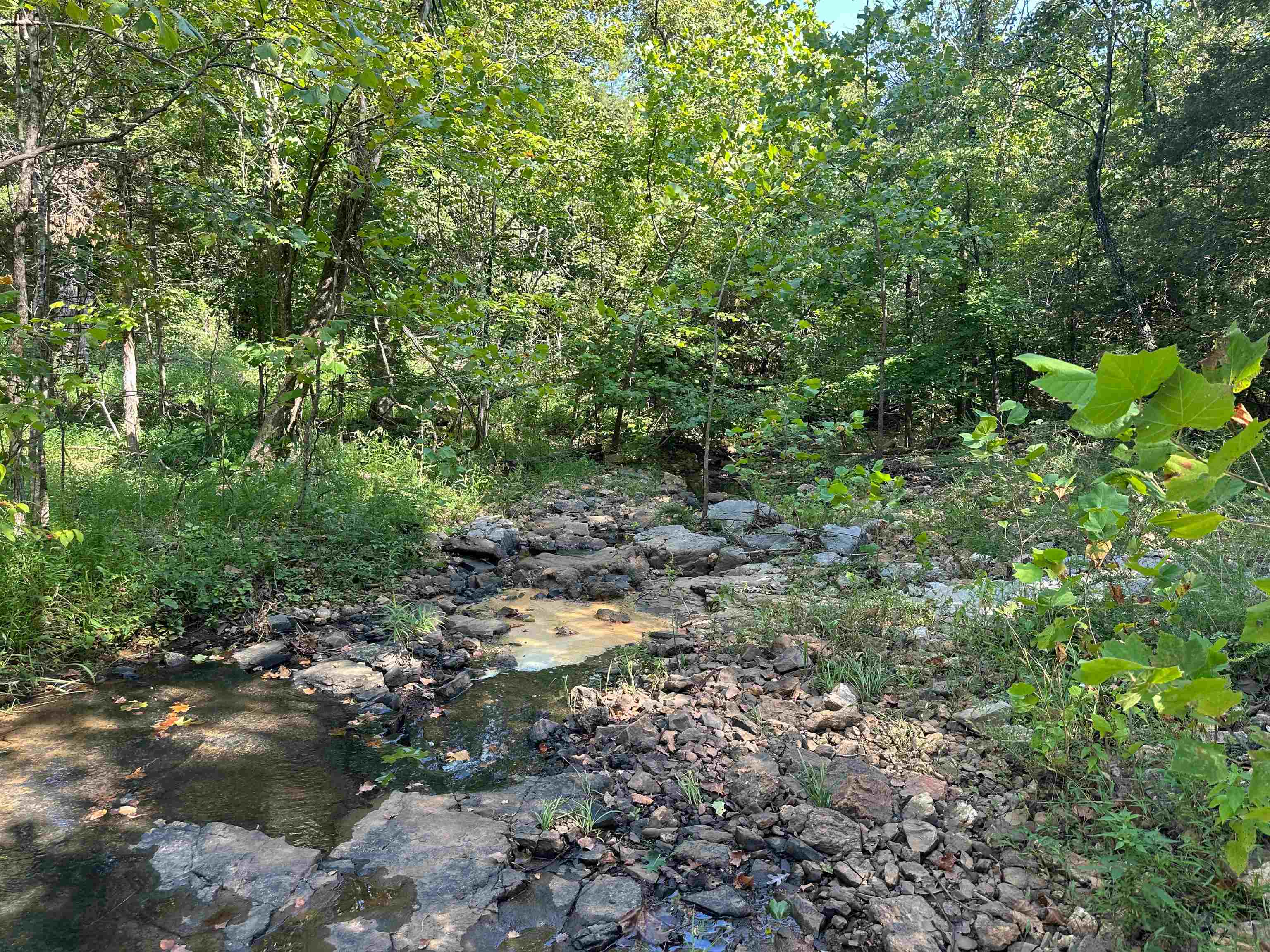 000 63 Highway Property Photo 2