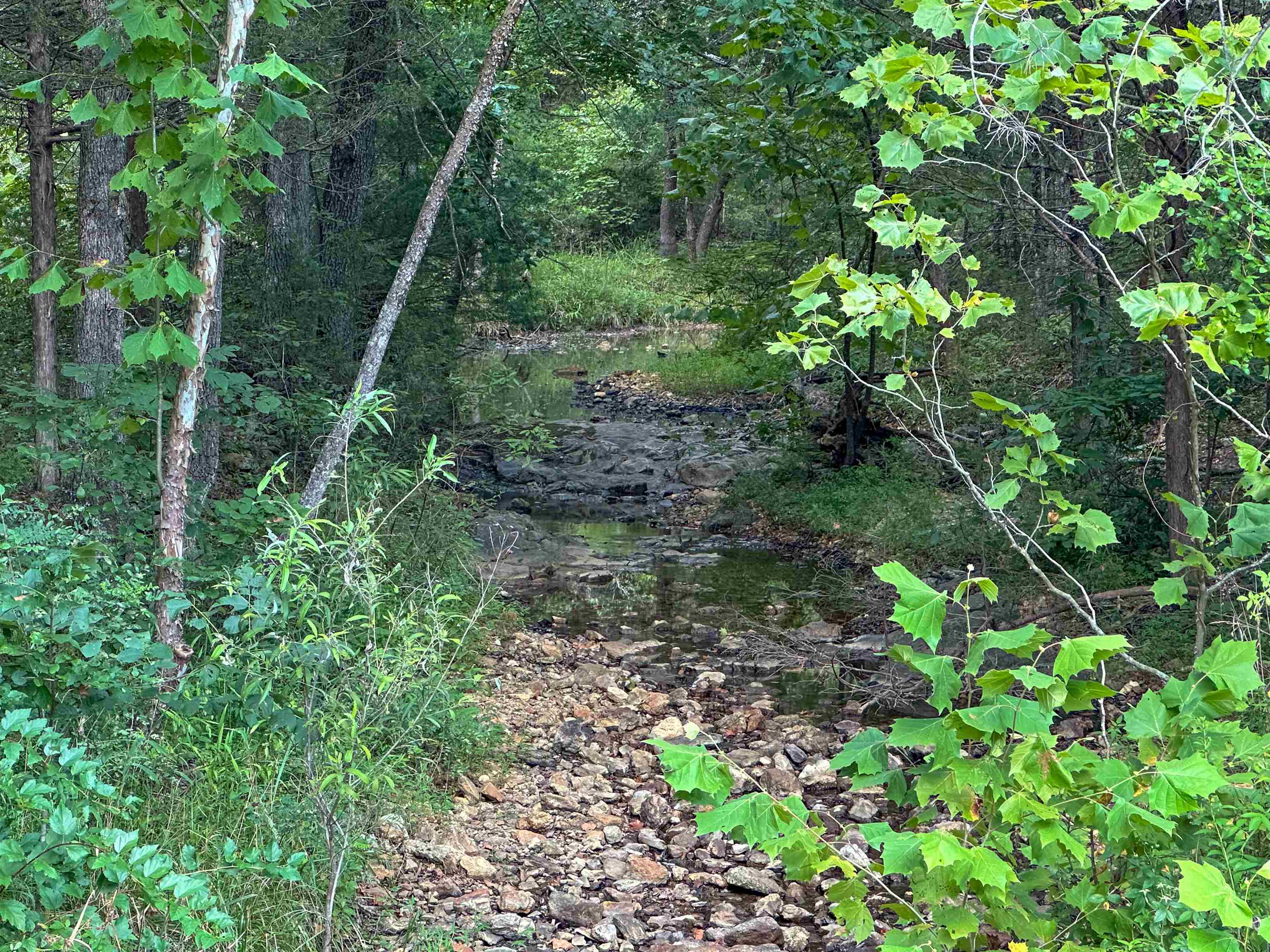 000 63 Highway Property Photo 4