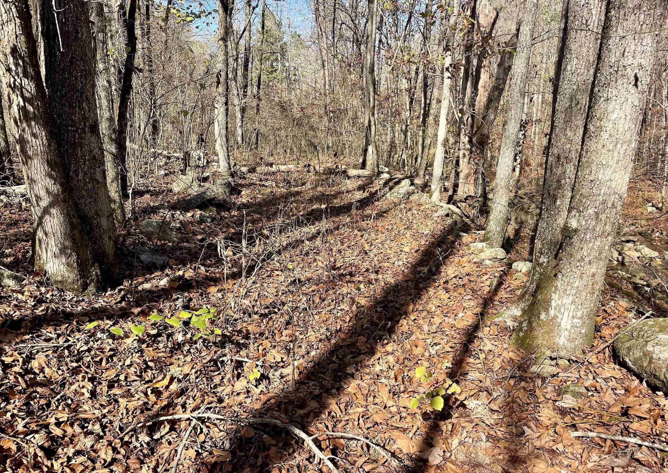000 Hwy 16 W Property Photo 15