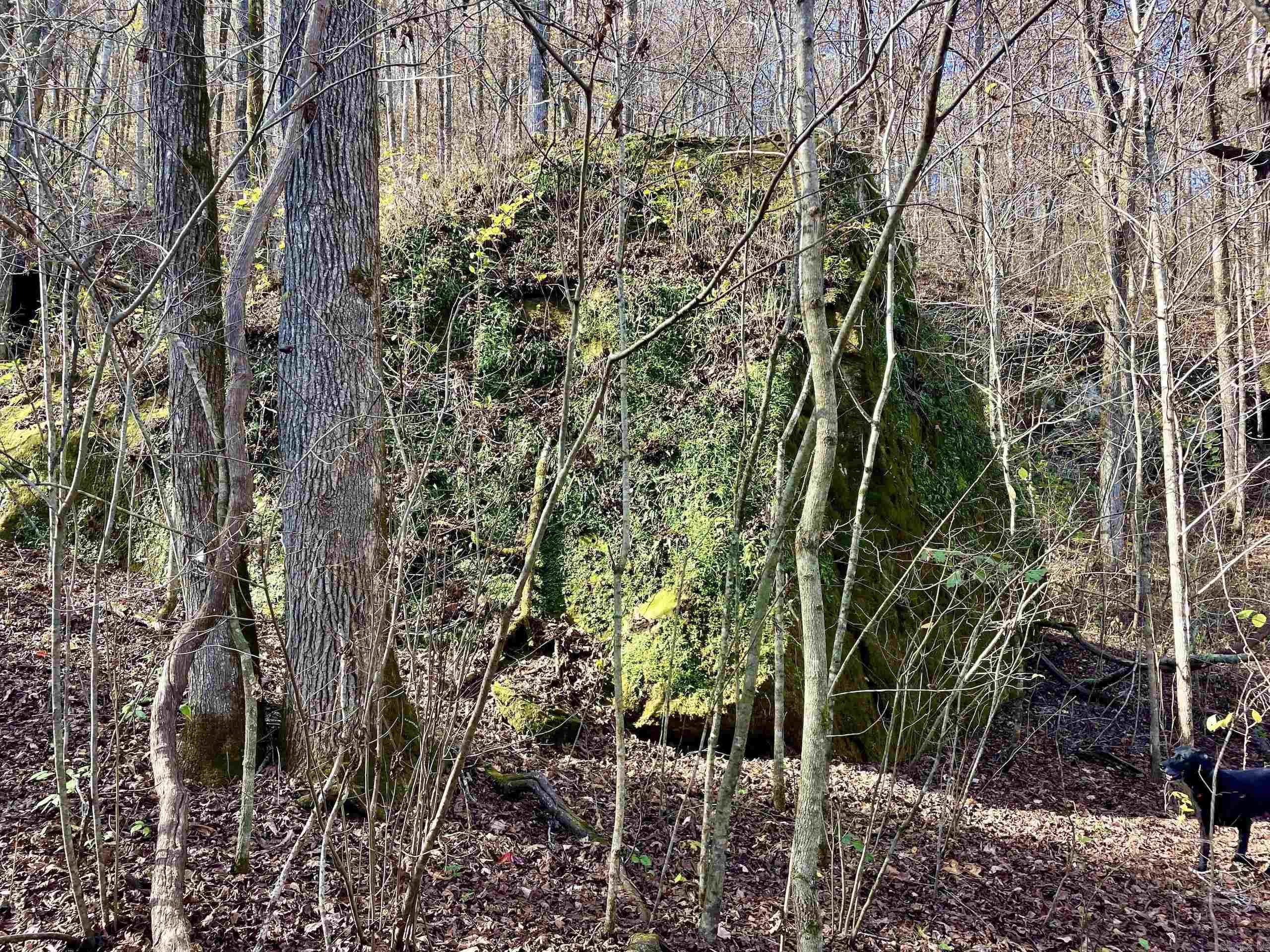 000 Hwy 16 W Property Photo 16