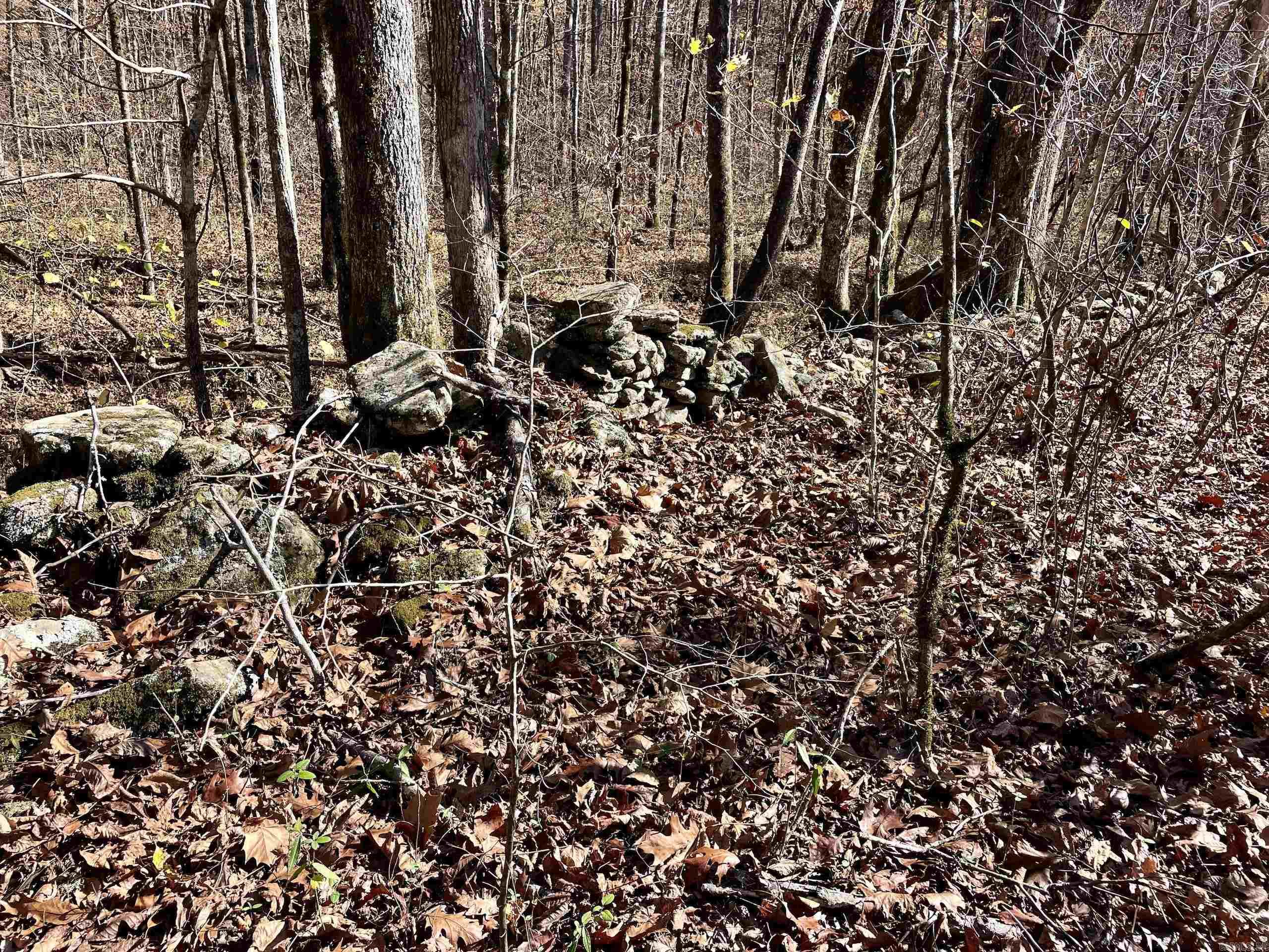000 Hwy 16 W Property Photo 37