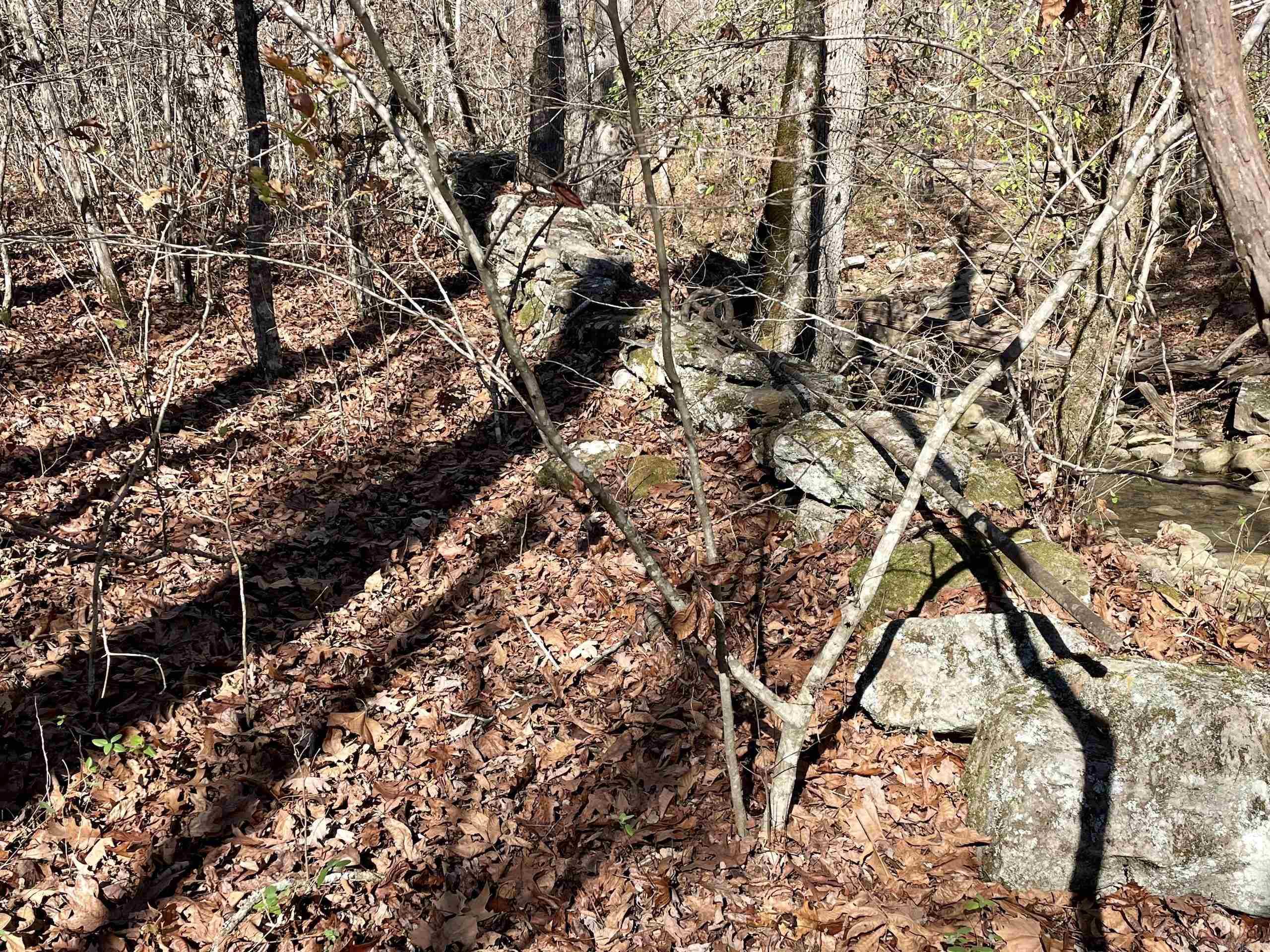 000 Hwy 16 W Property Photo 38
