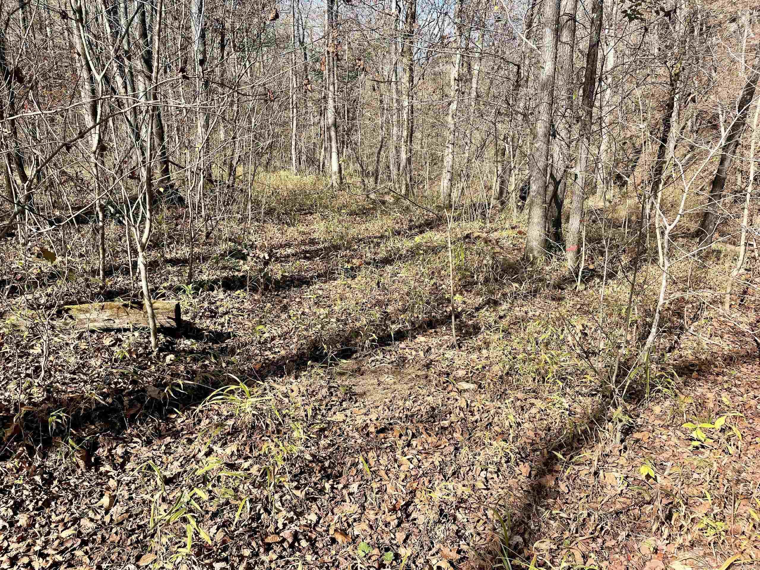 000 Hwy 16 W Property Photo 44