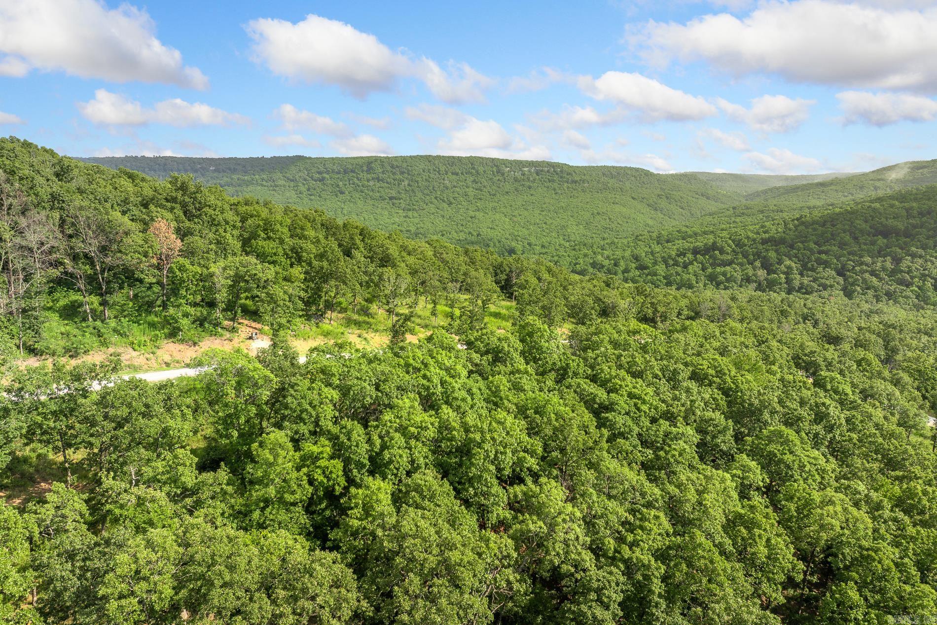 86 Lots Round Mountain Estates Property Photo 16