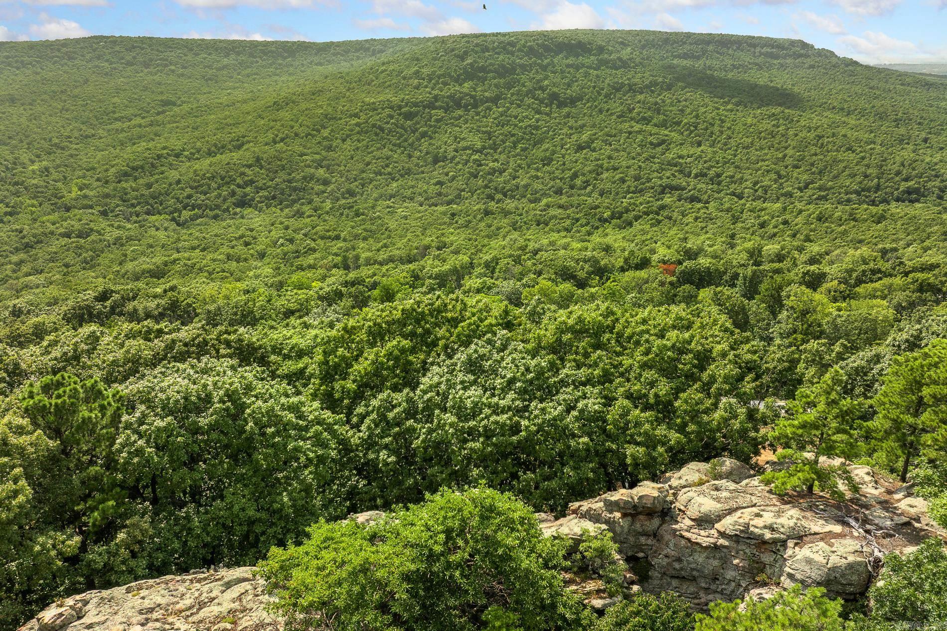 86 Lots Round Mountain Estates Property Photo 20