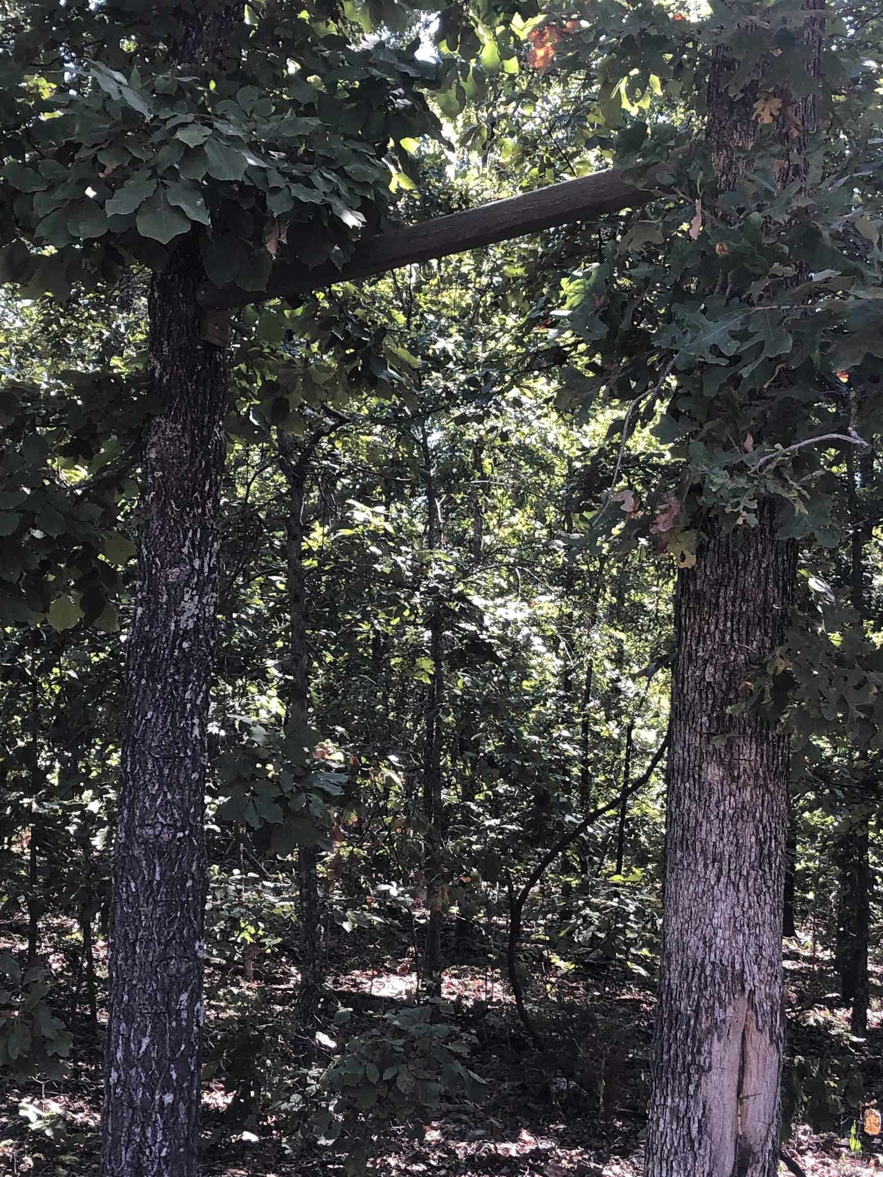20.17 Ac Rainbow Valley Trail Property Photo 7