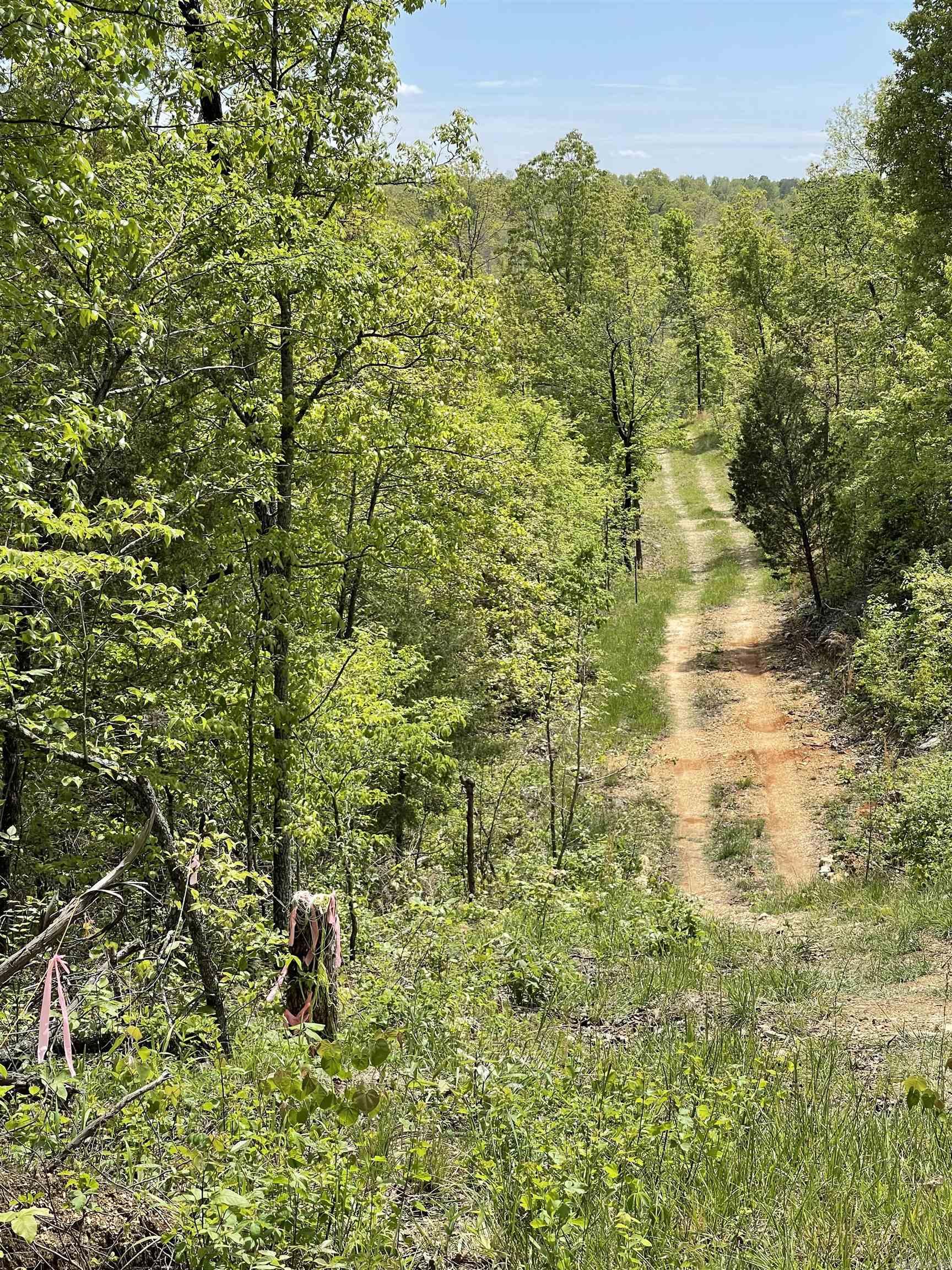 20.17 Ac Rainbow Valley Trail Property Photo 12