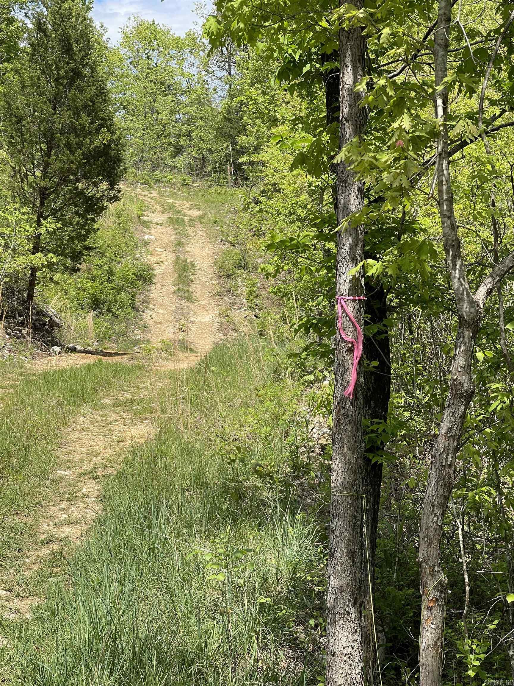 20.17 Ac Rainbow Valley Trail Property Photo 13