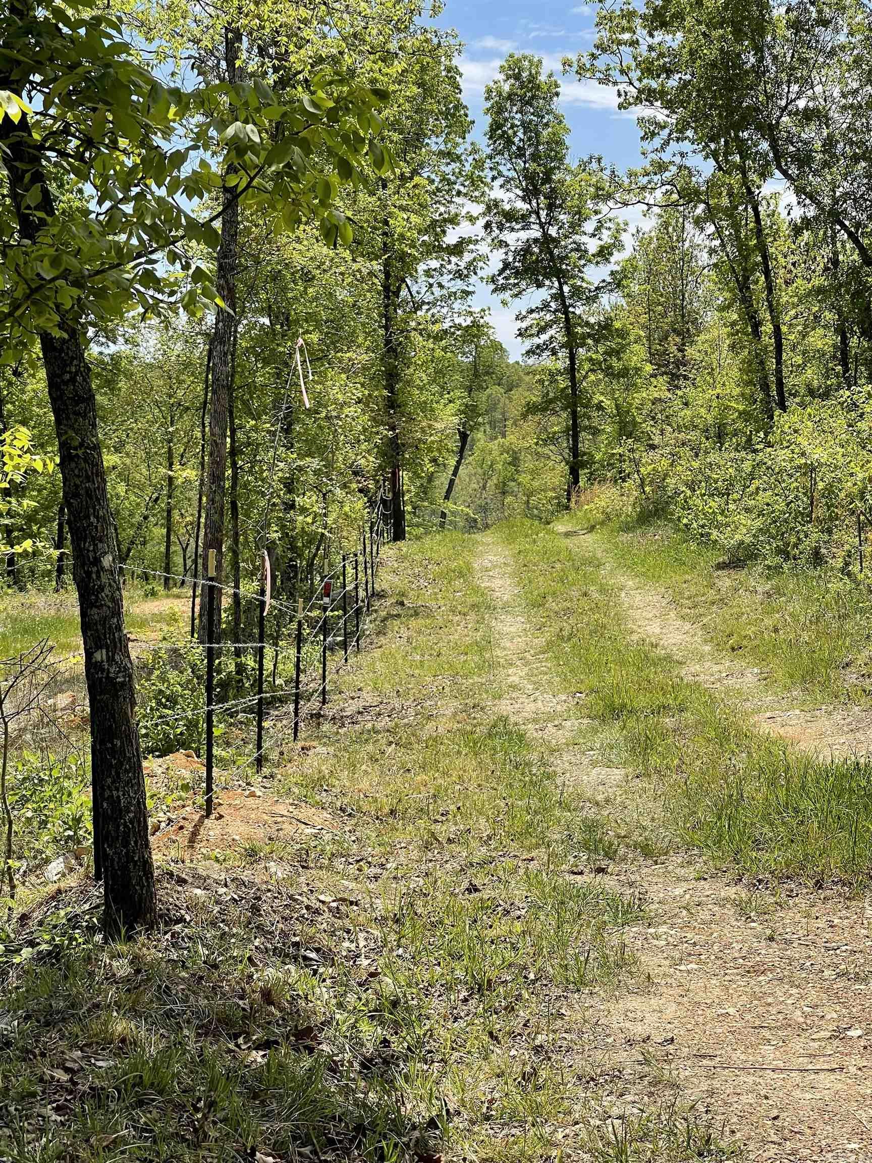 20.17 Ac Rainbow Valley Trail Property Photo 16