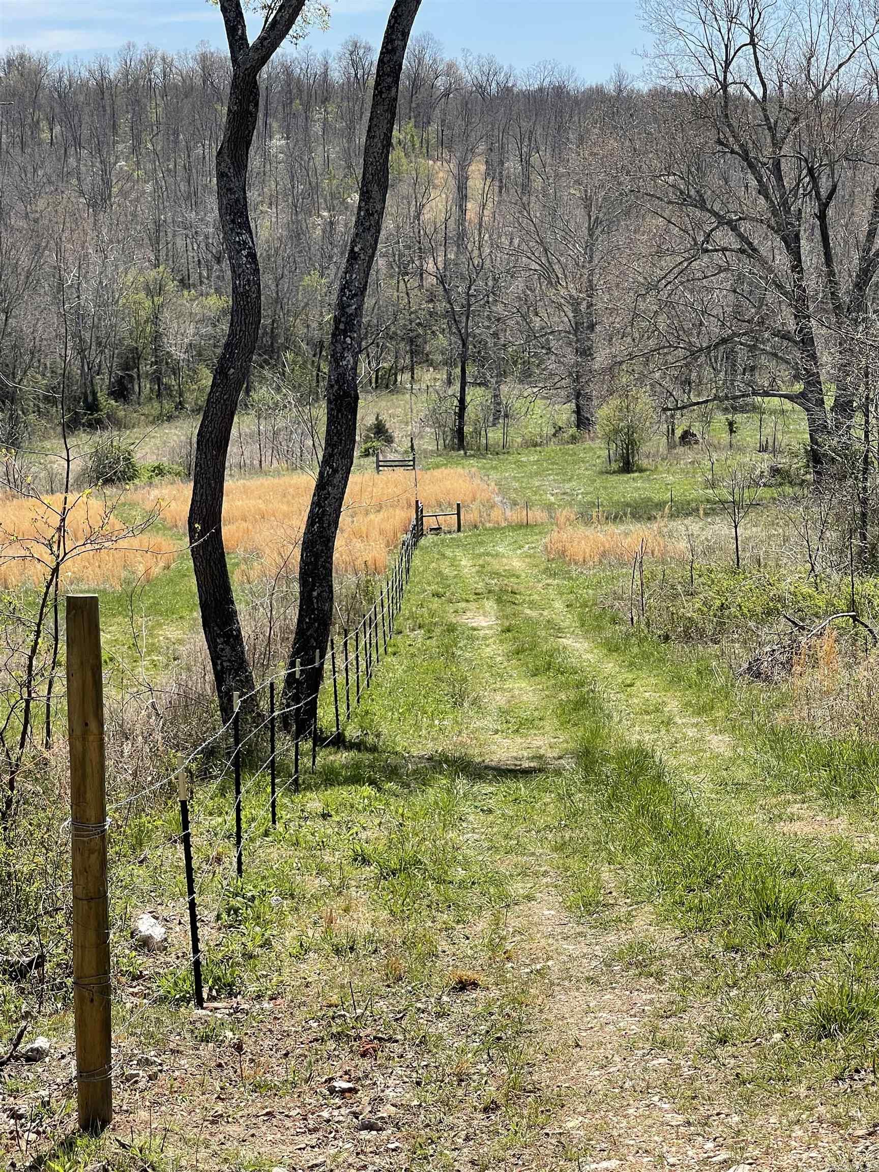 20.17 Ac Rainbow Valley Trail Property Photo 18