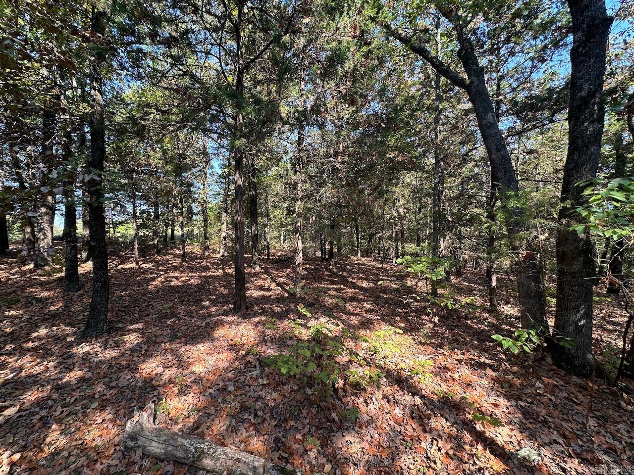 000 Gassaway Property Photo 2