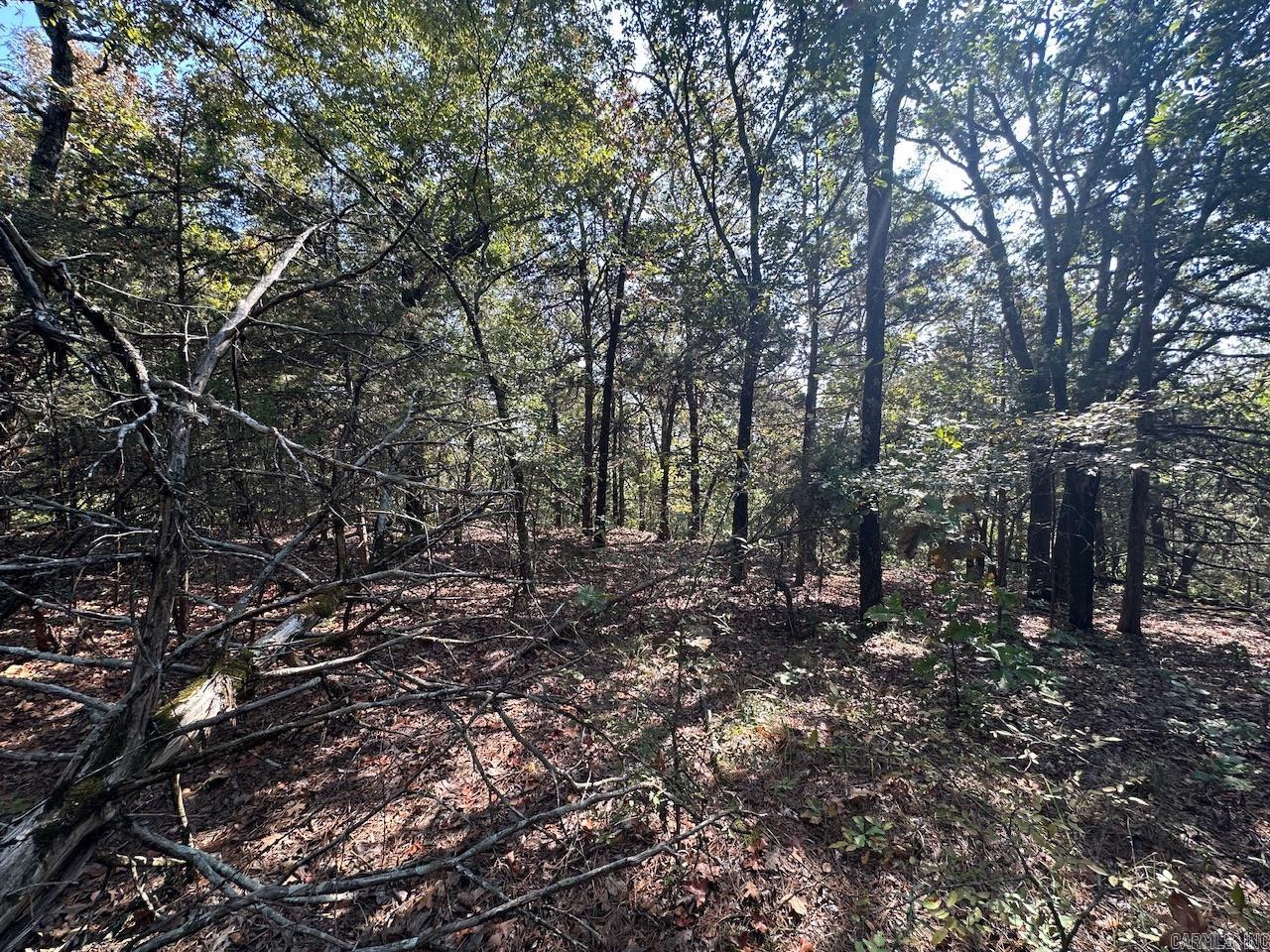 000 Gassaway Property Photo 6