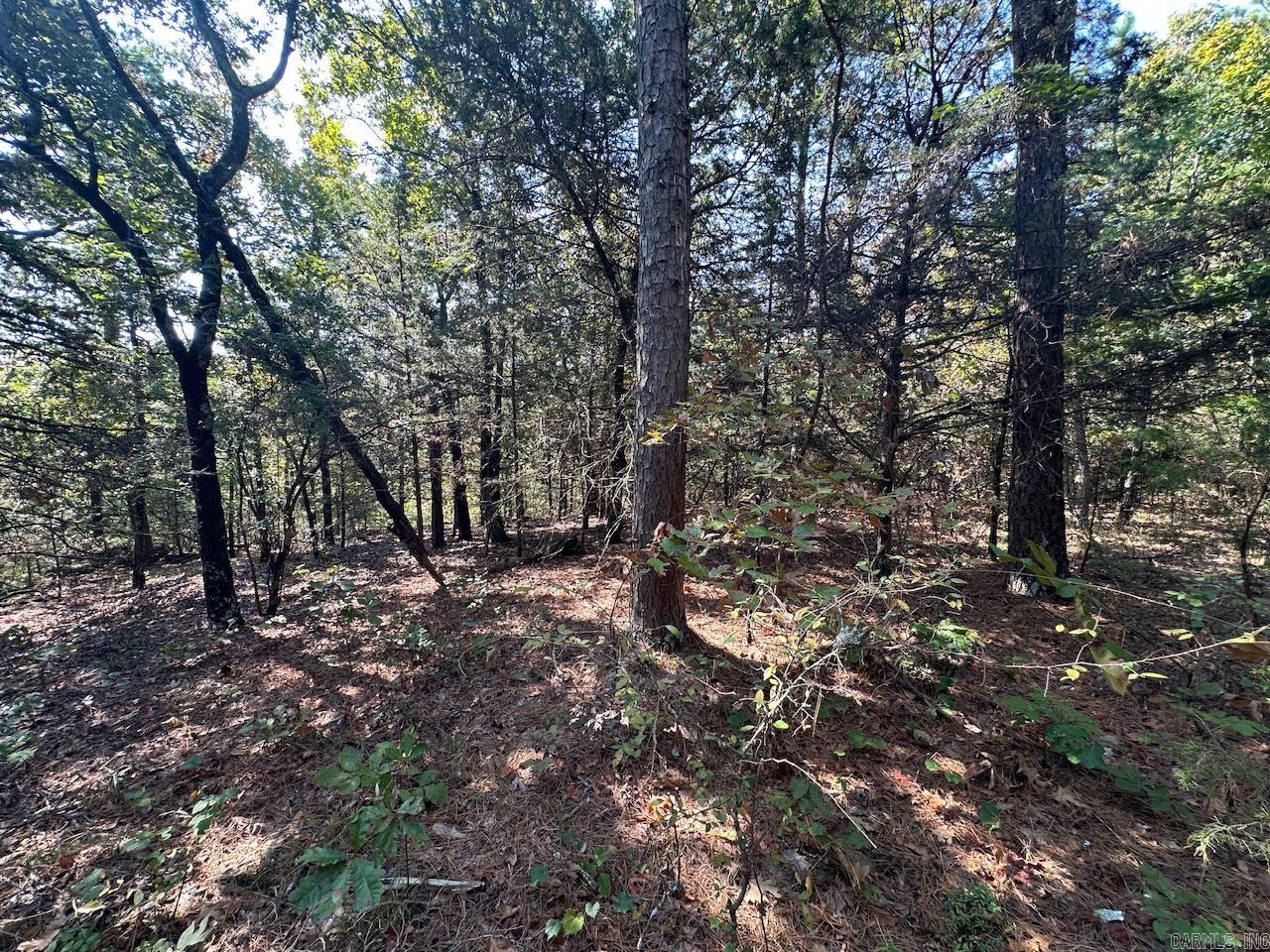 000 Gassaway Property Photo 7