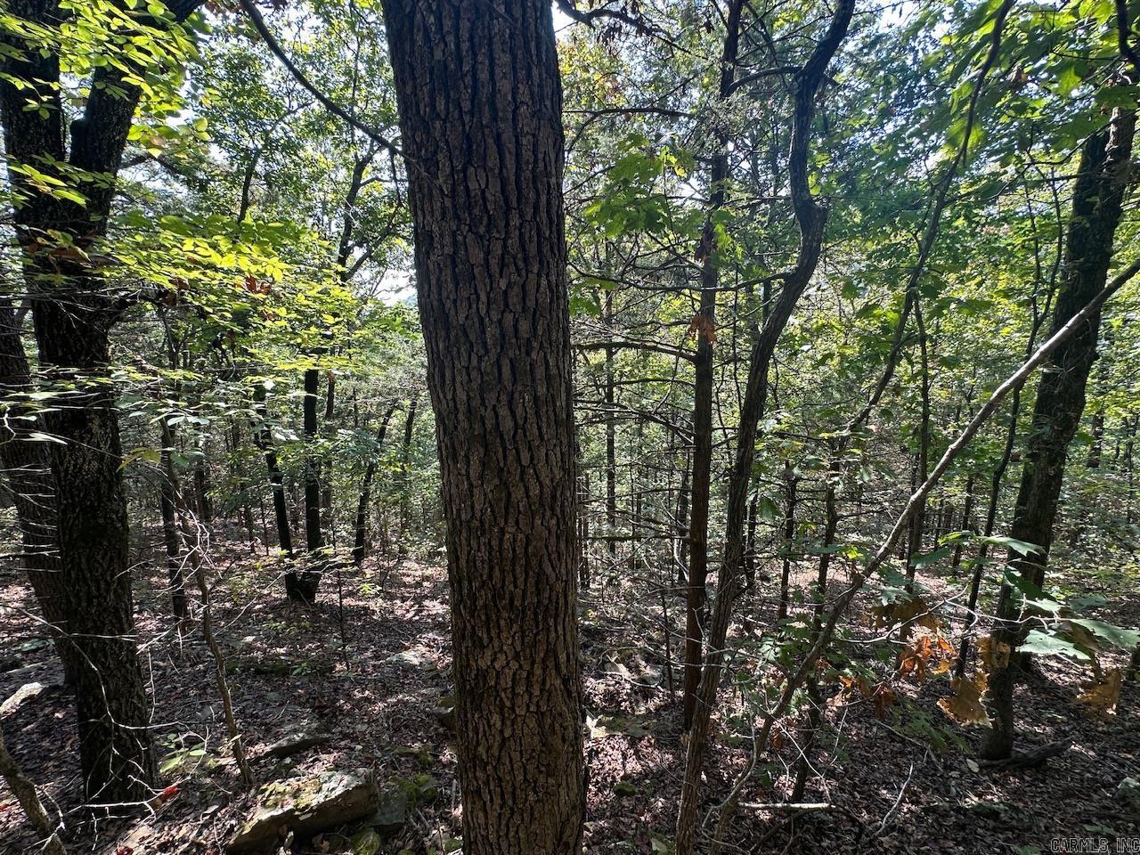 000 Gassaway Property Photo 11