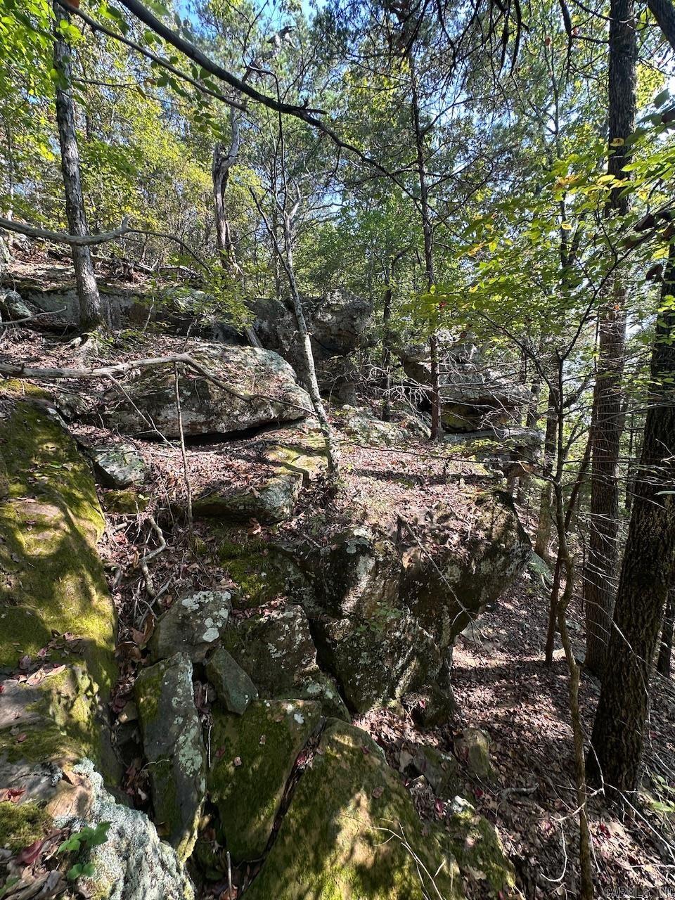 000 Gassaway Property Photo 12