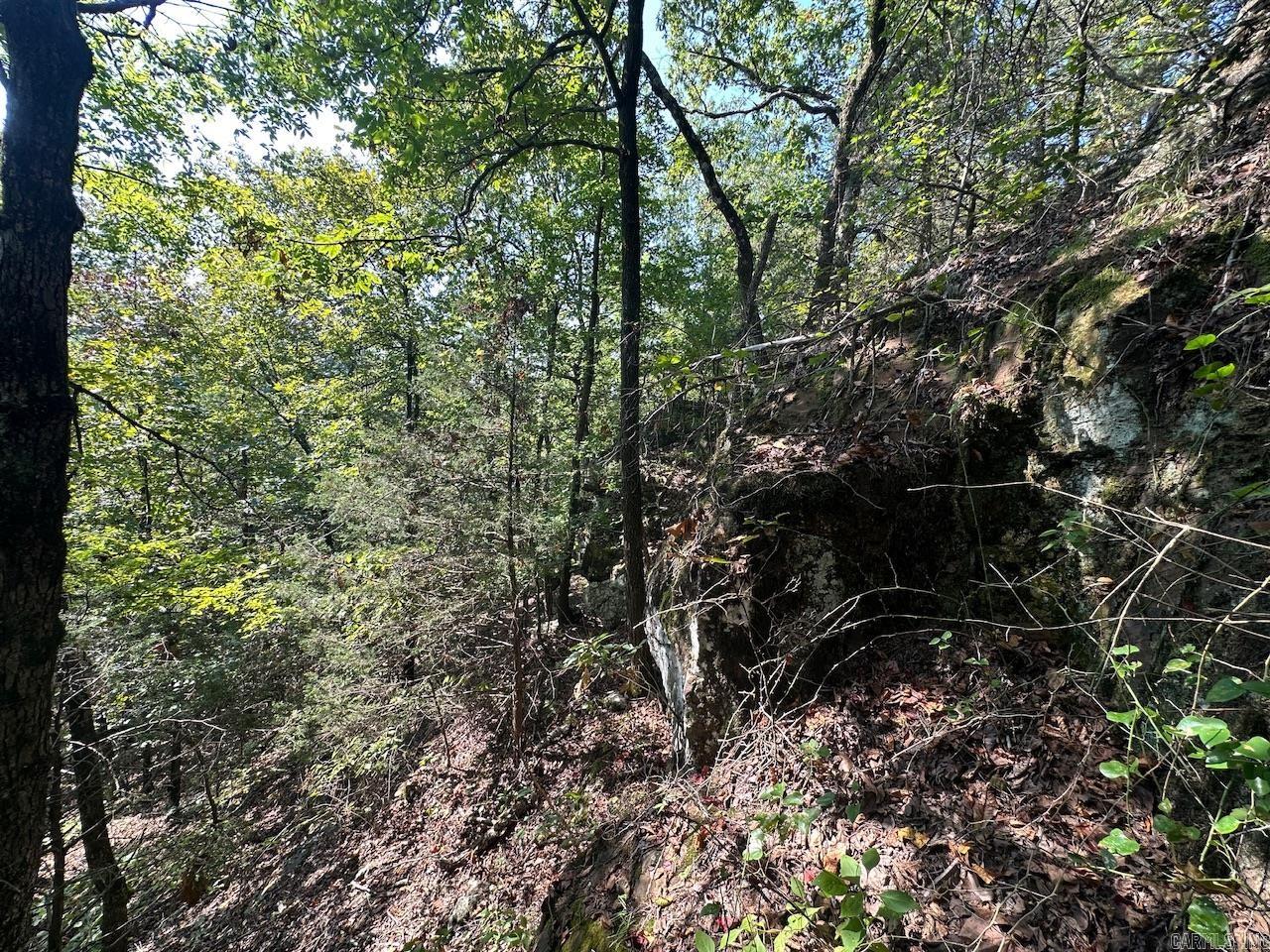 000 Gassaway Property Photo 13