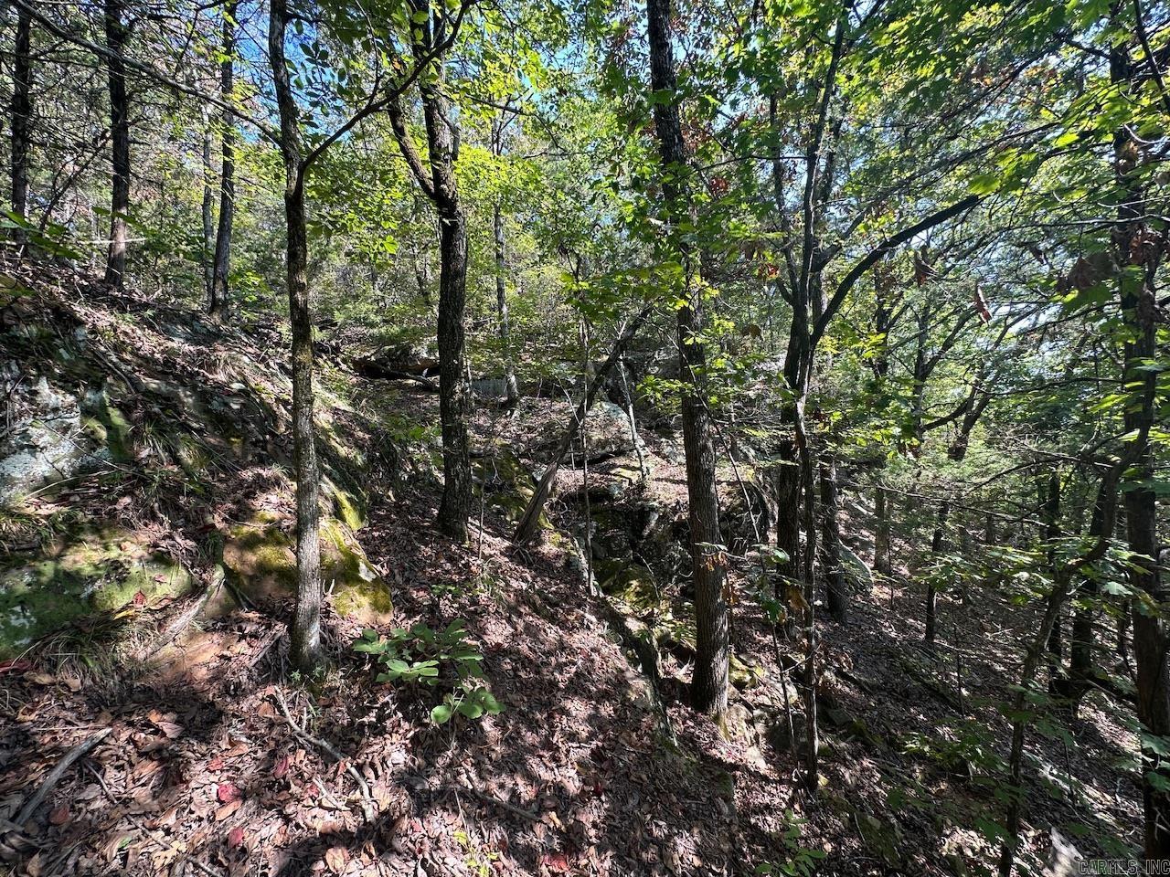 000 Gassaway Property Photo 14