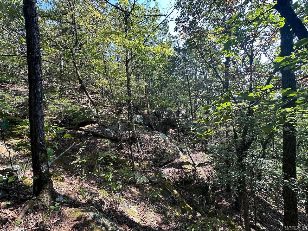 000 Gassaway Property Photo 15