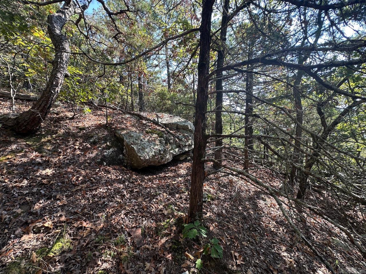 000 Gassaway Property Photo 16