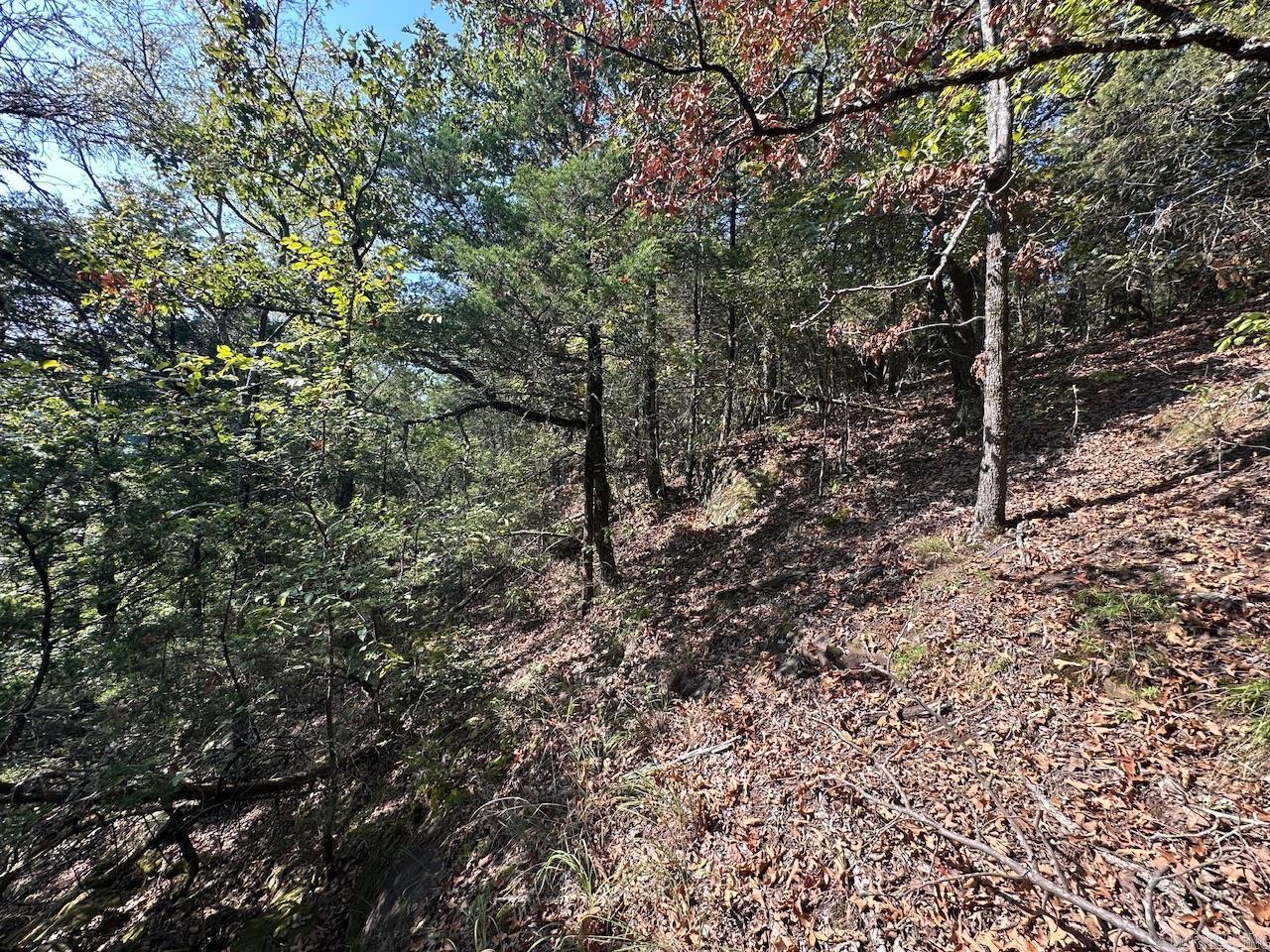 000 Gassaway Property Photo 17