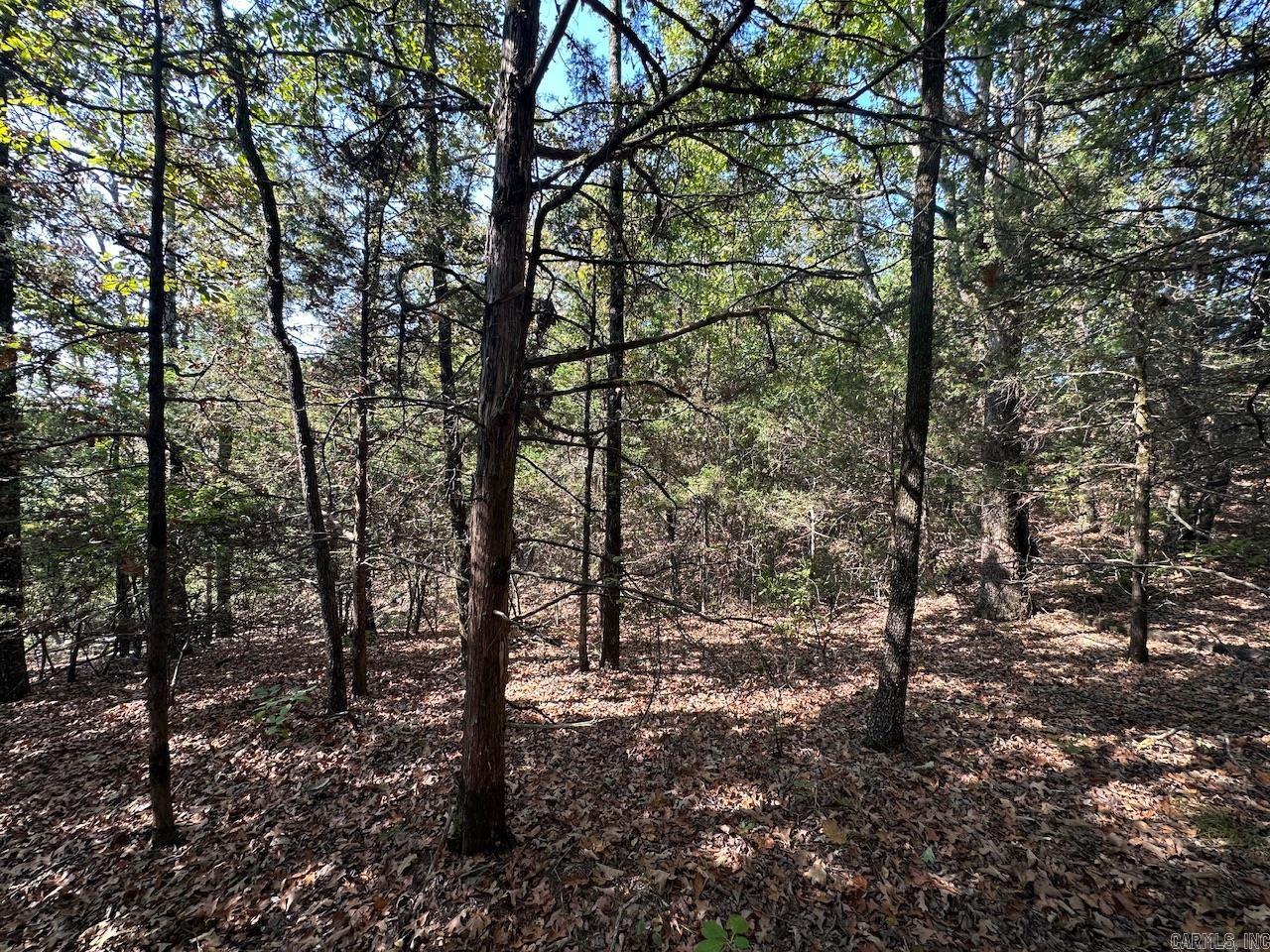 000 Gassaway Property Photo 18
