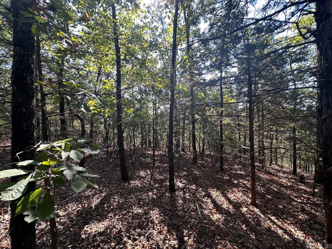 000 Gassaway Property Photo 19