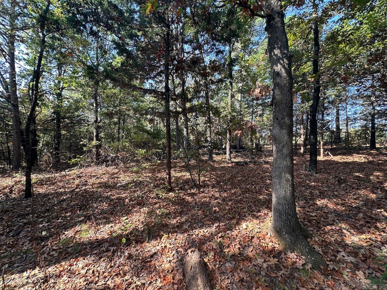 000 Gassaway Property Photo 20