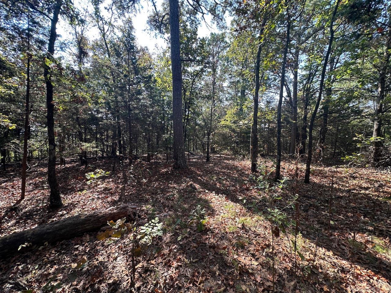 000 Gassaway Property Photo 21