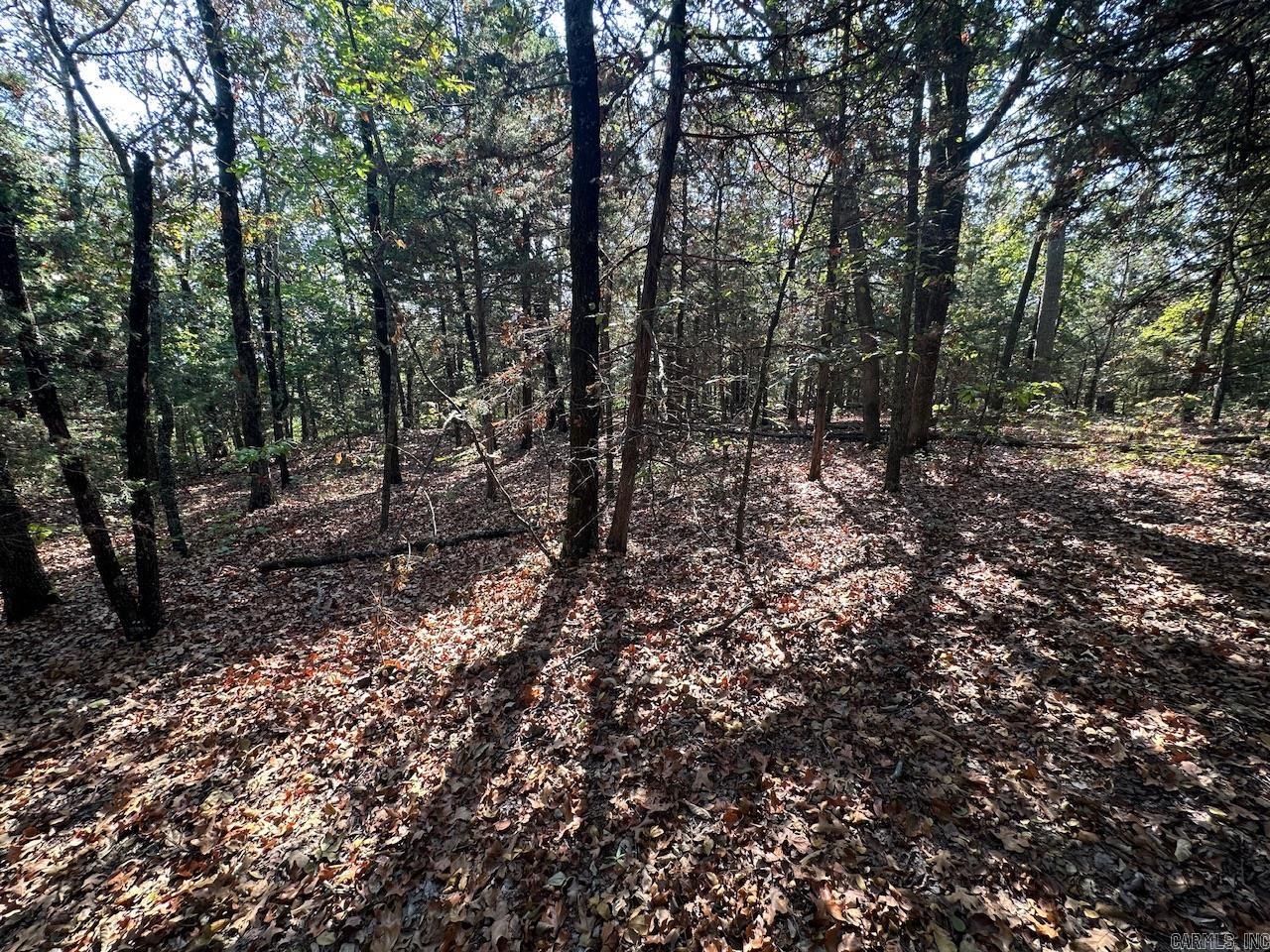 000 Gassaway Property Photo 22