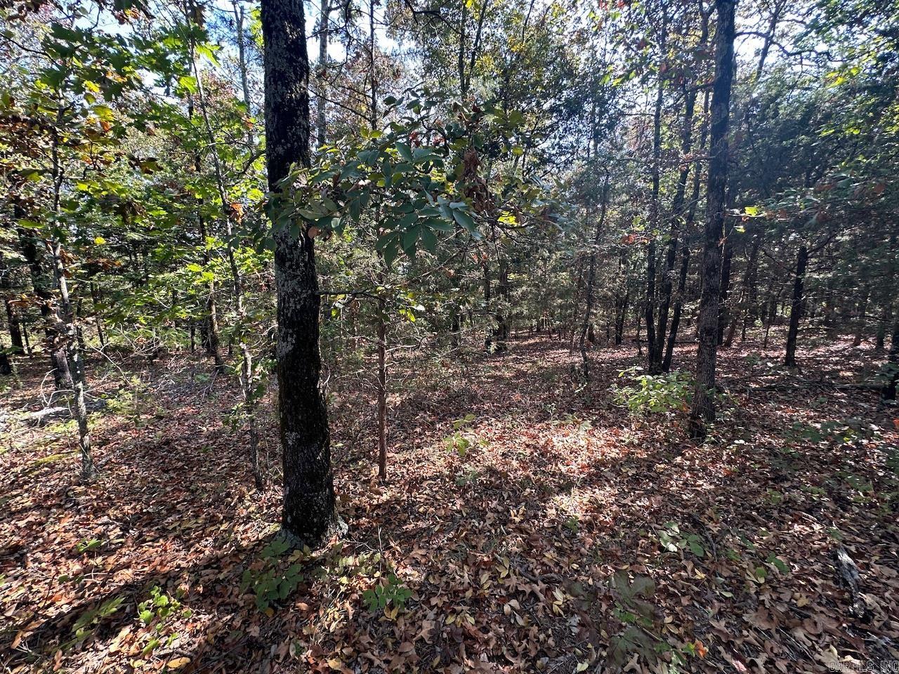 000 Gassaway Property Photo 23