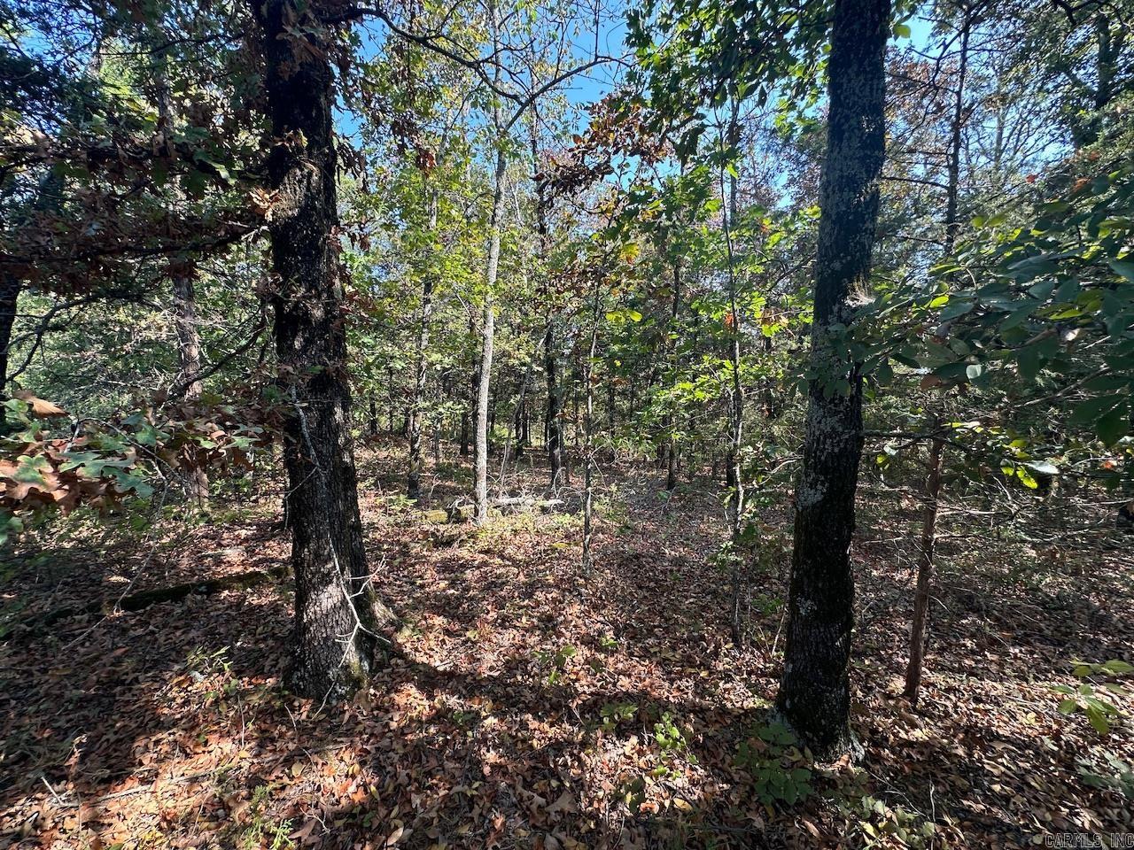 000 Gassaway Property Photo 24