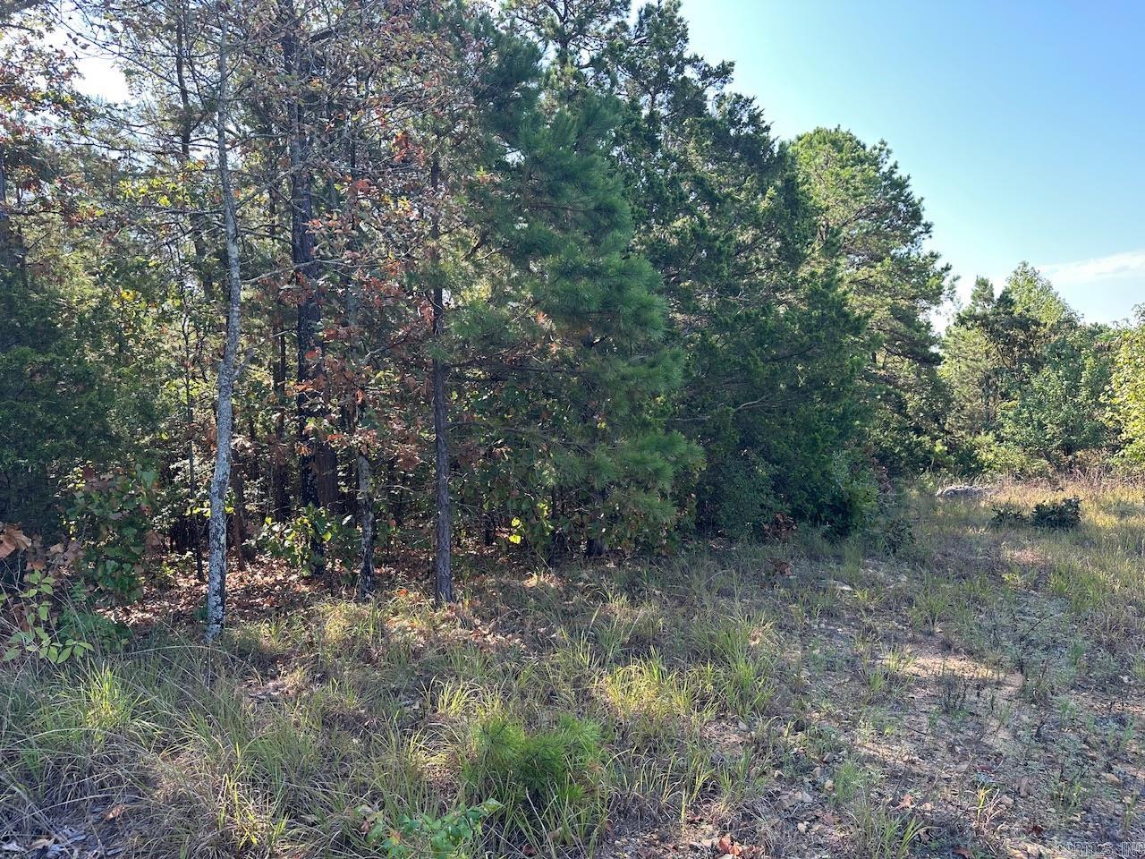 000 Gassaway Property Photo 26