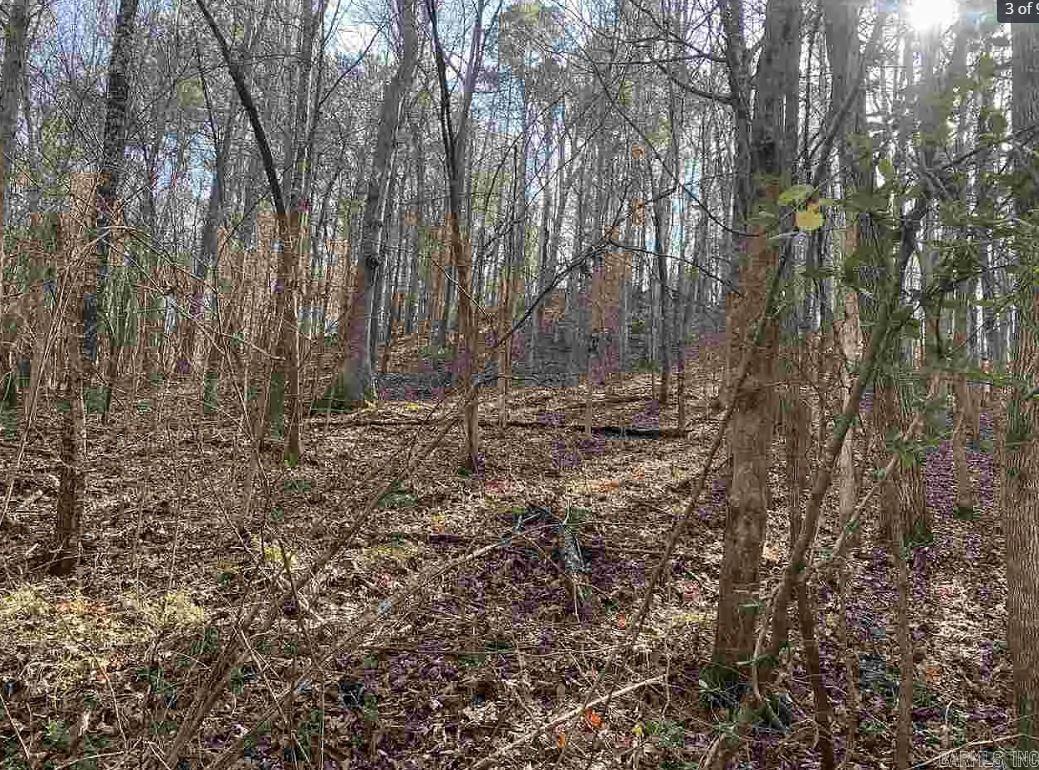 Tbd Mc 285 Property Photo 10